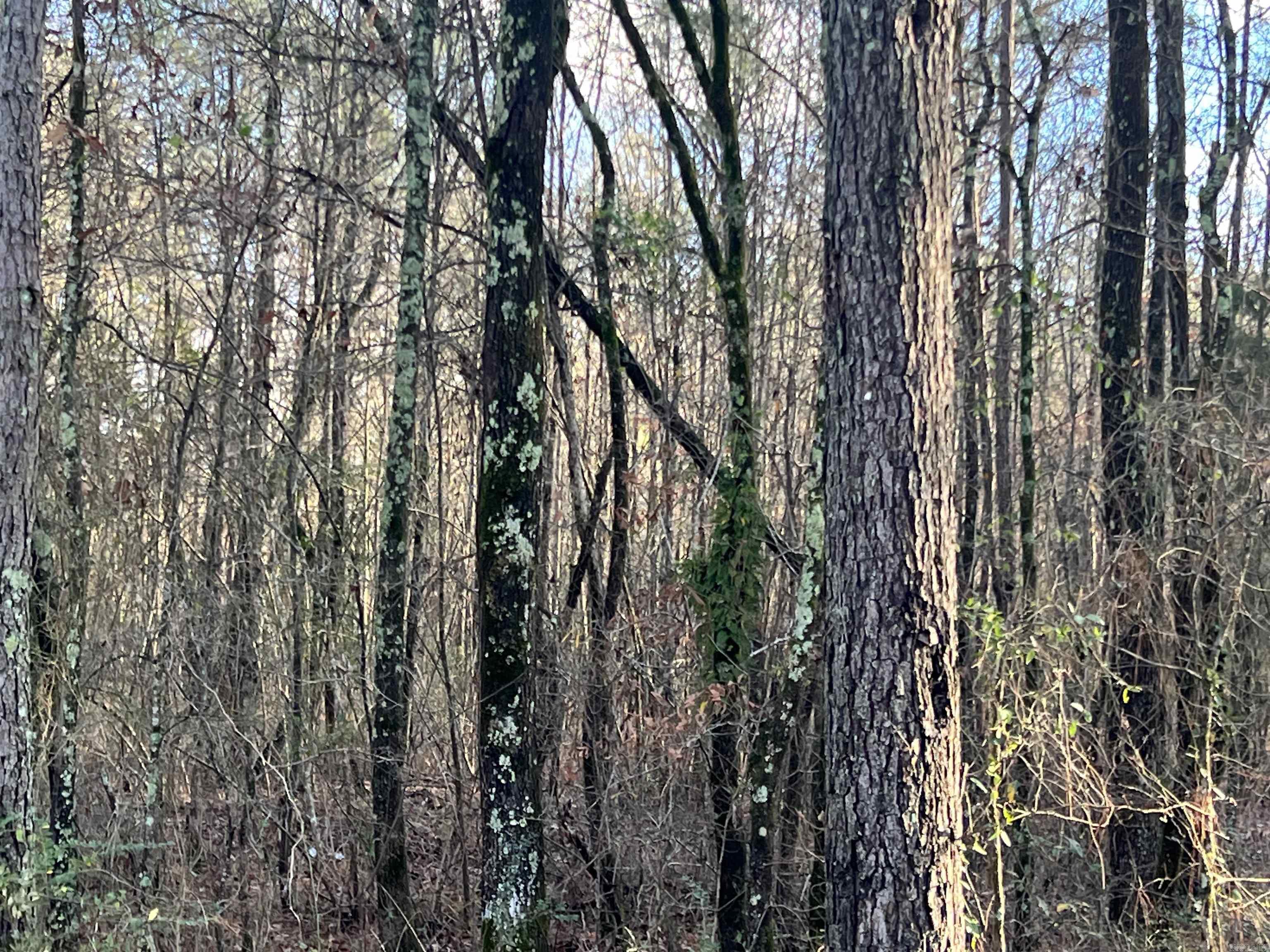 0  BROOKWOOD  Alexander, AR