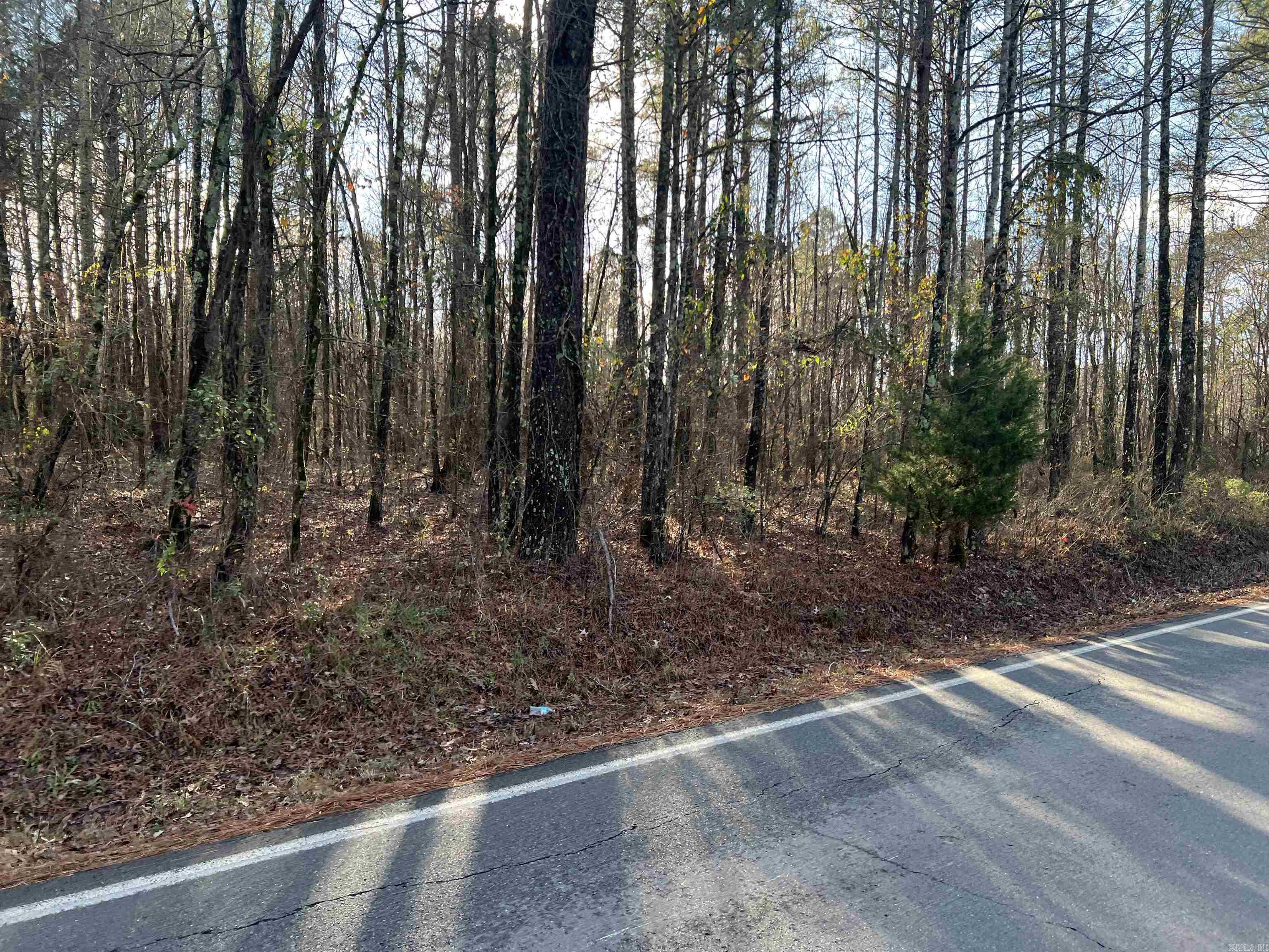 0  BROOKWOOD  Alexander, AR