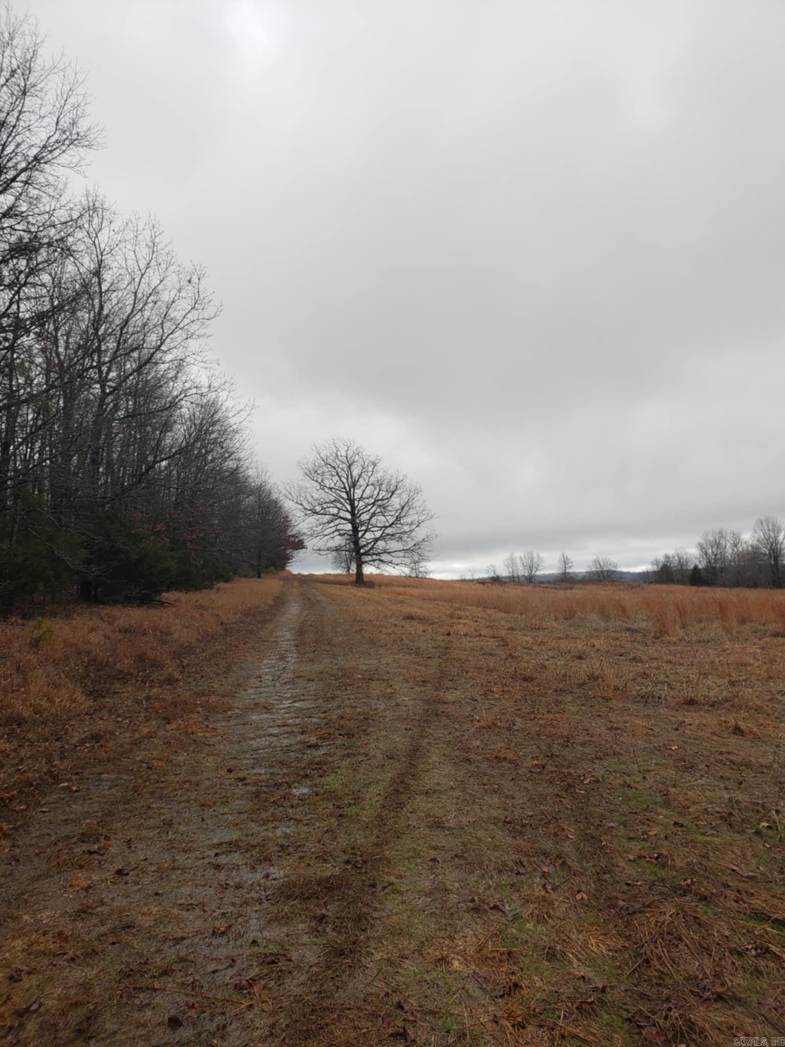 00 S 27 & 16  Tilly, AR