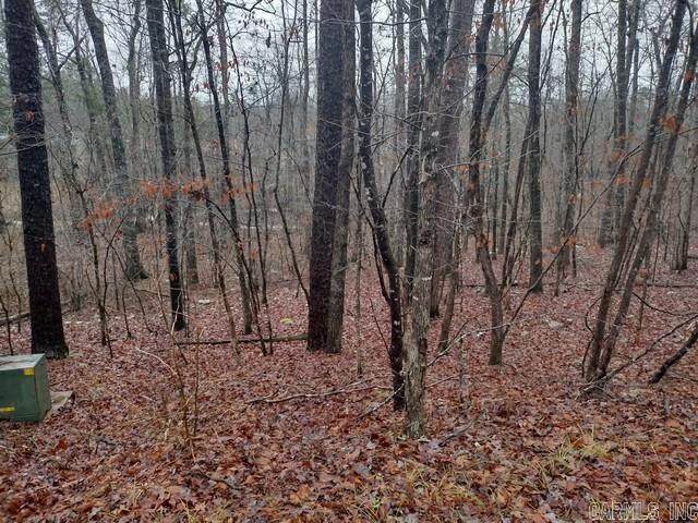 5  Saldana  Hot Springs Village, AR