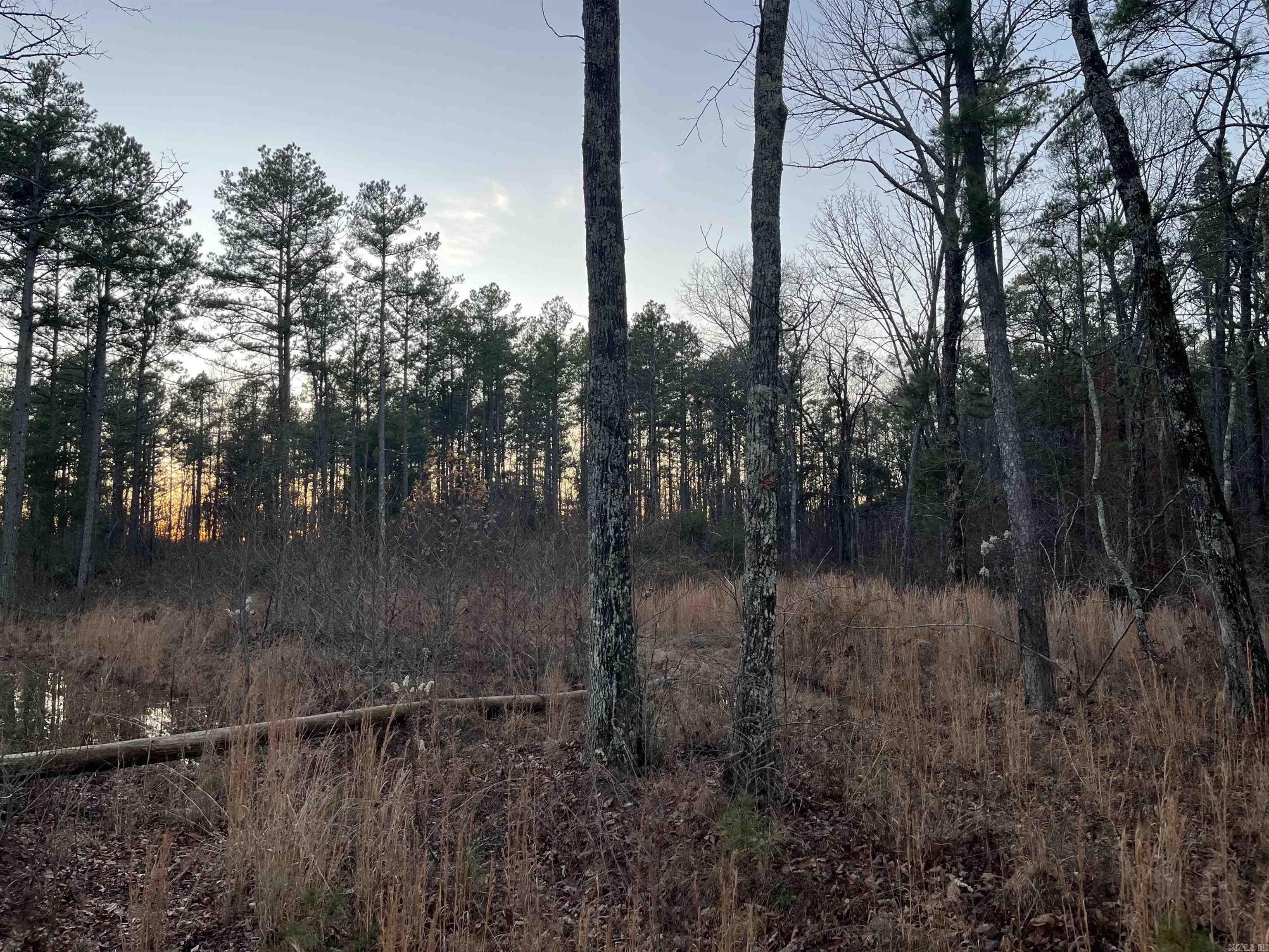 0 Hwy 16  Alread, AR