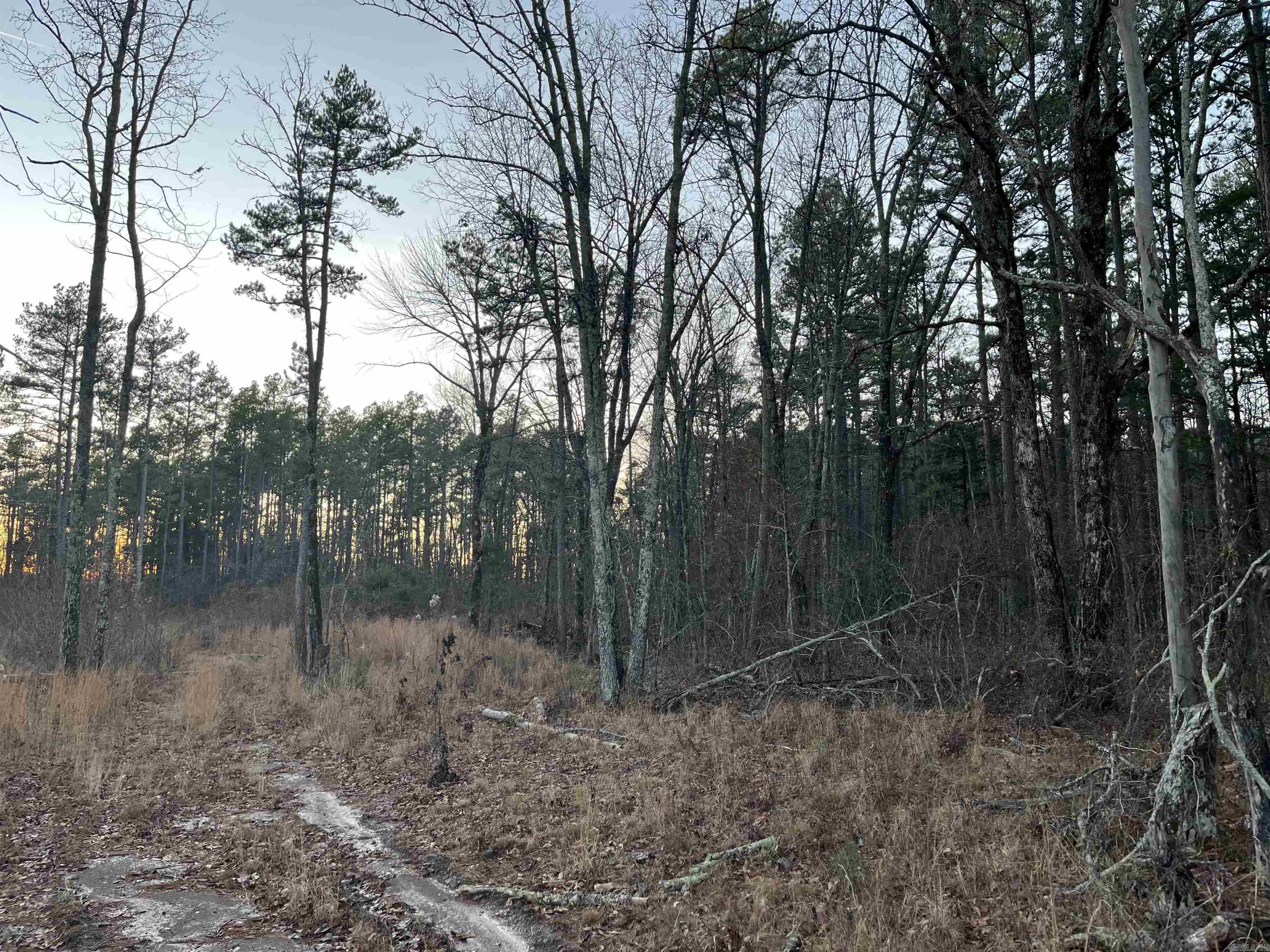 0 Hwy 16  Alread, AR