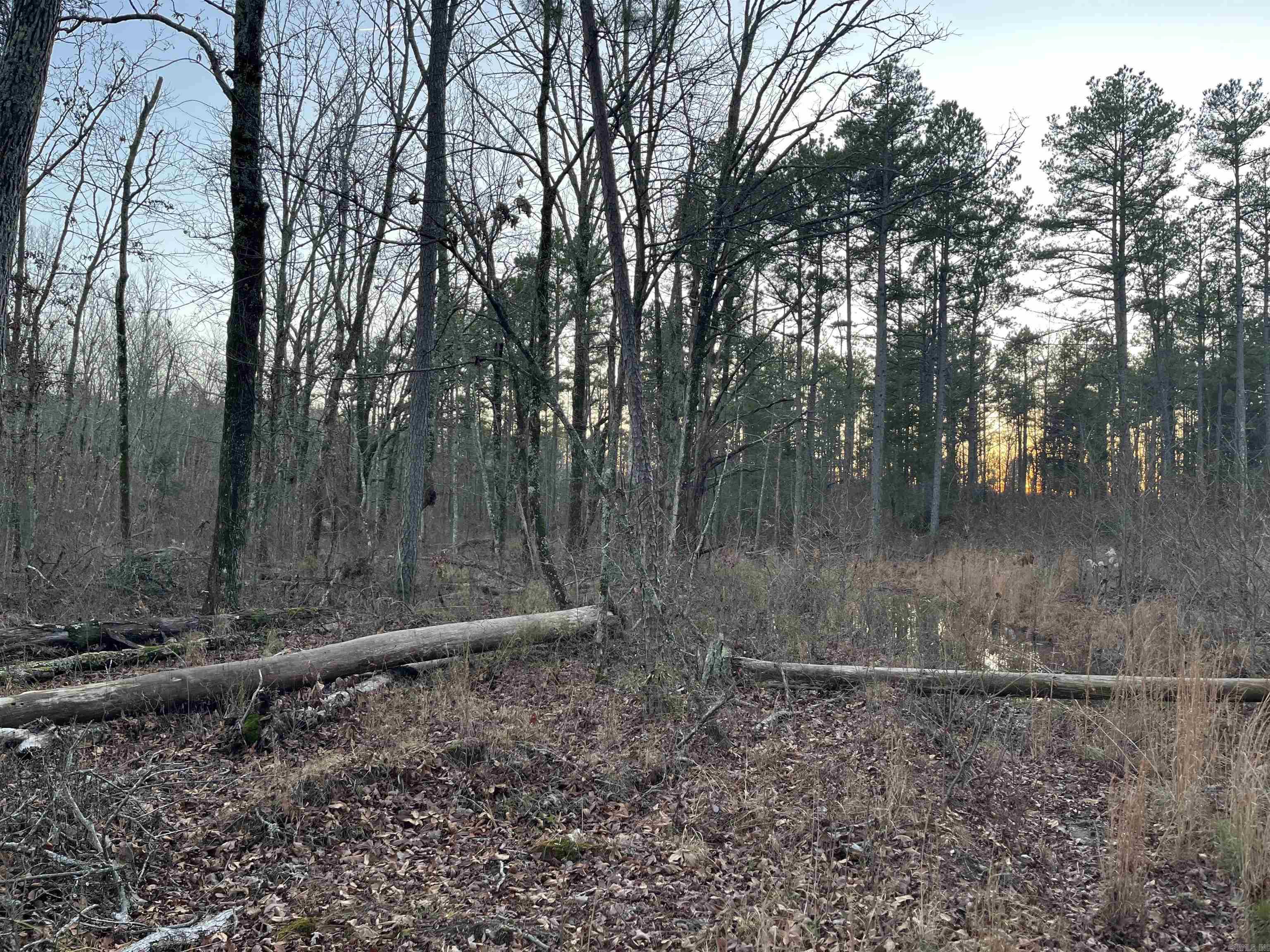 0 Hwy 16  Alread, AR
