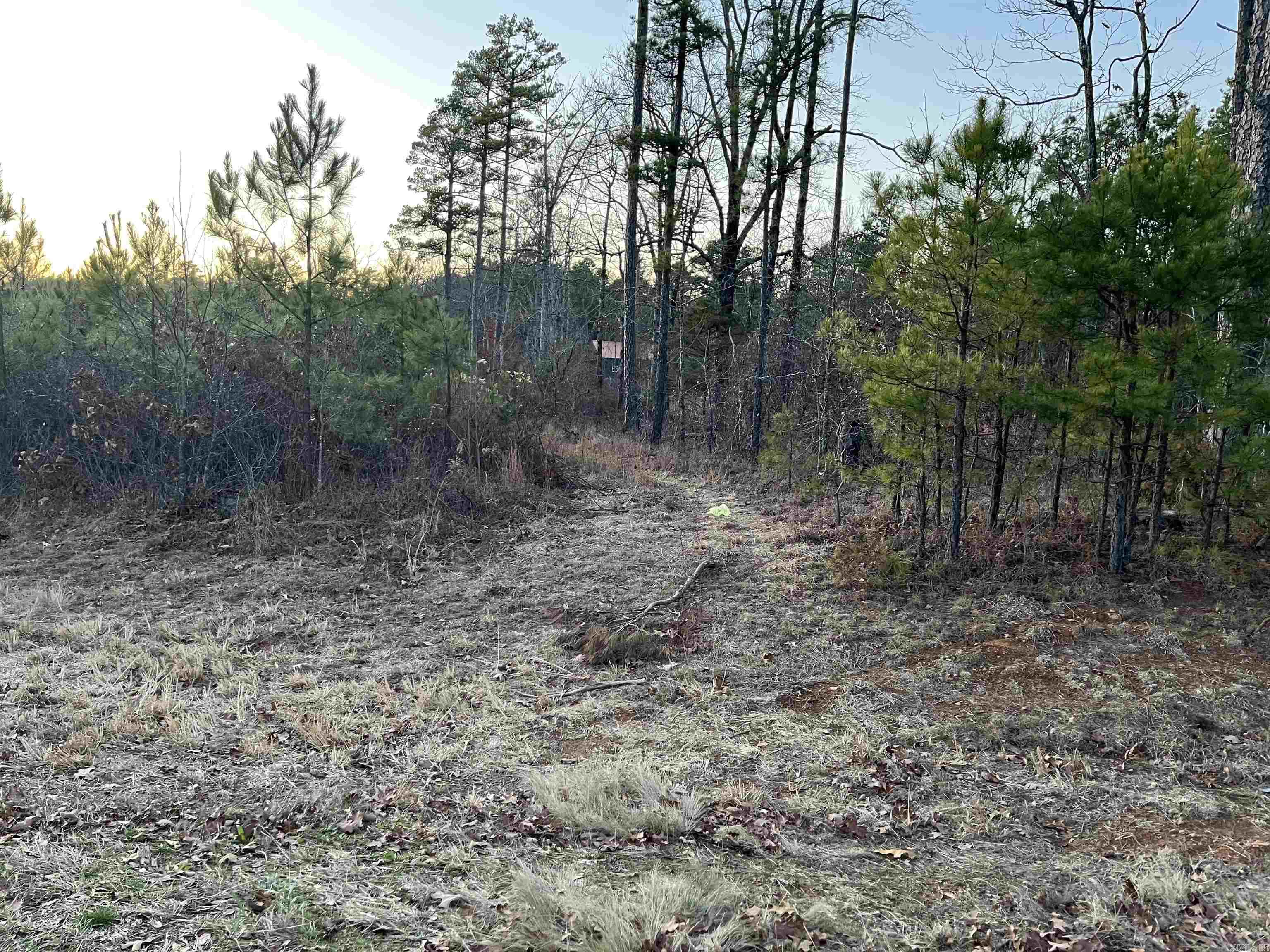 0 Hwy 16  Alread, AR