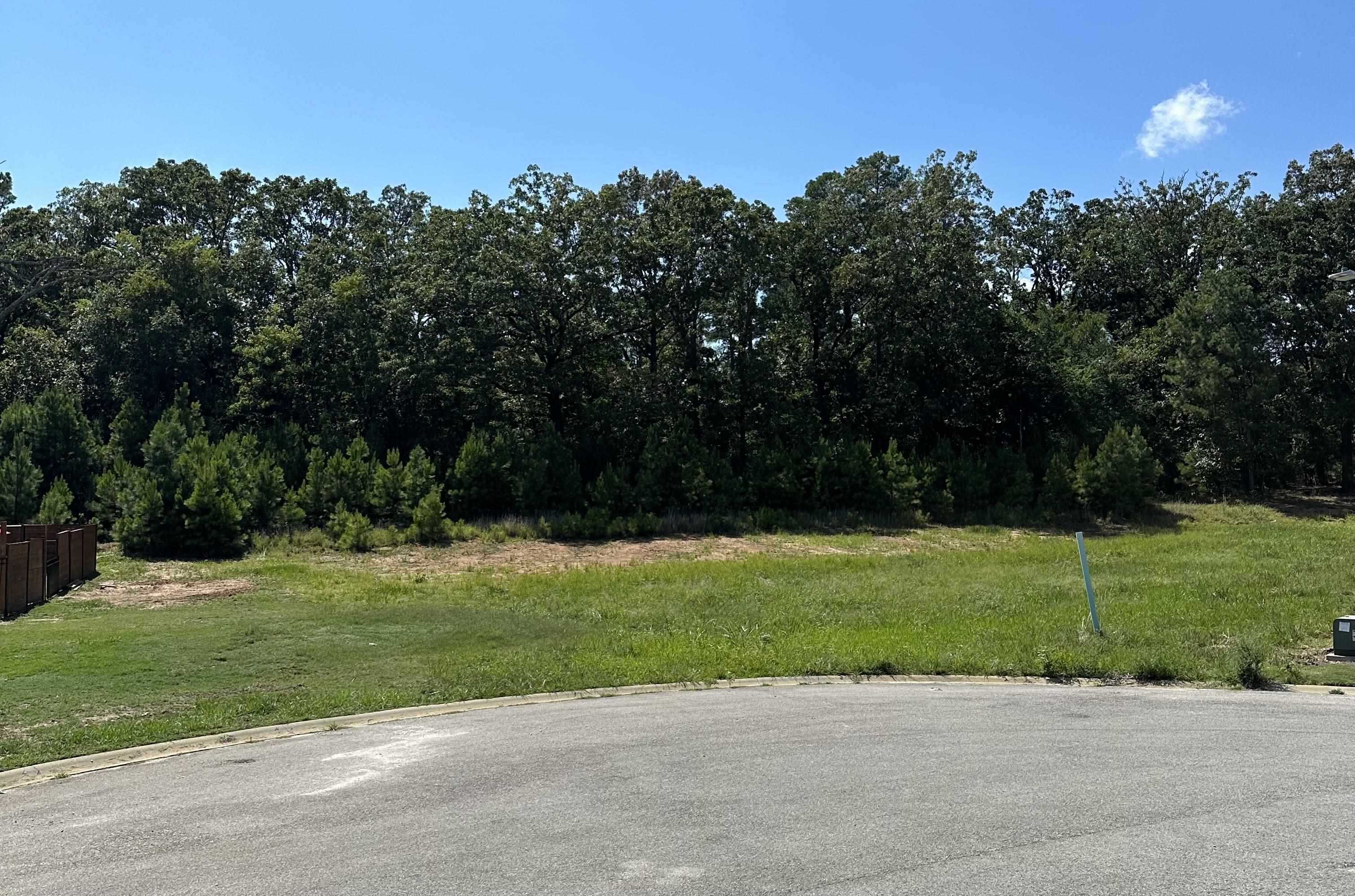 3911  Wigeon Cove  Jonesboro, AR
