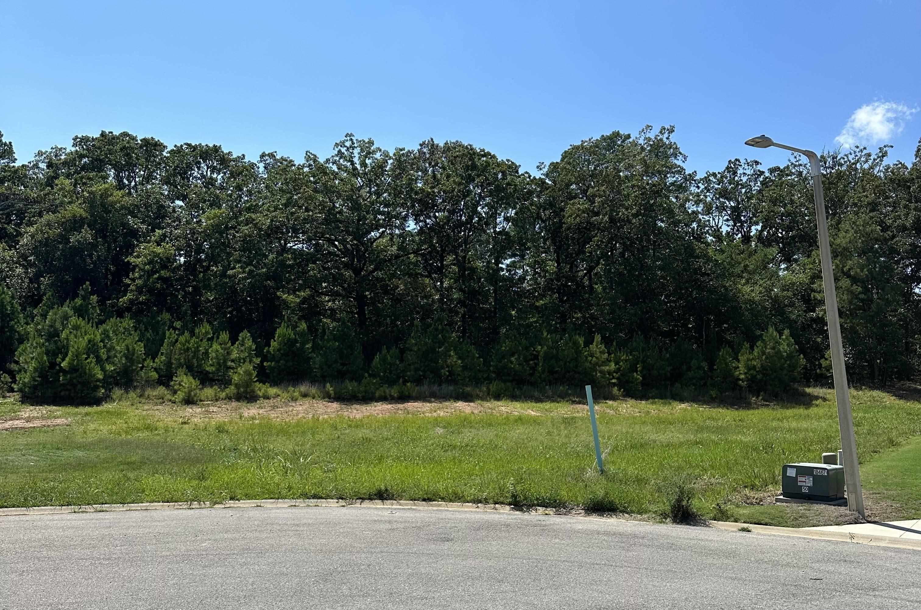 3911  Wigeon Cove  Jonesboro, AR