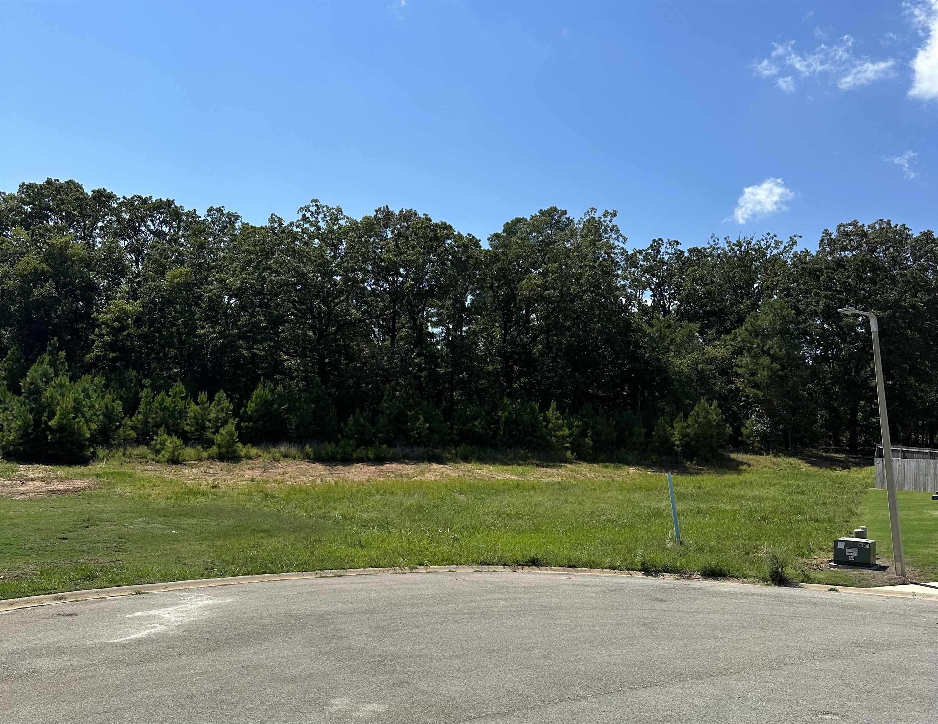 3911  Wigeon Cove  Jonesboro, AR