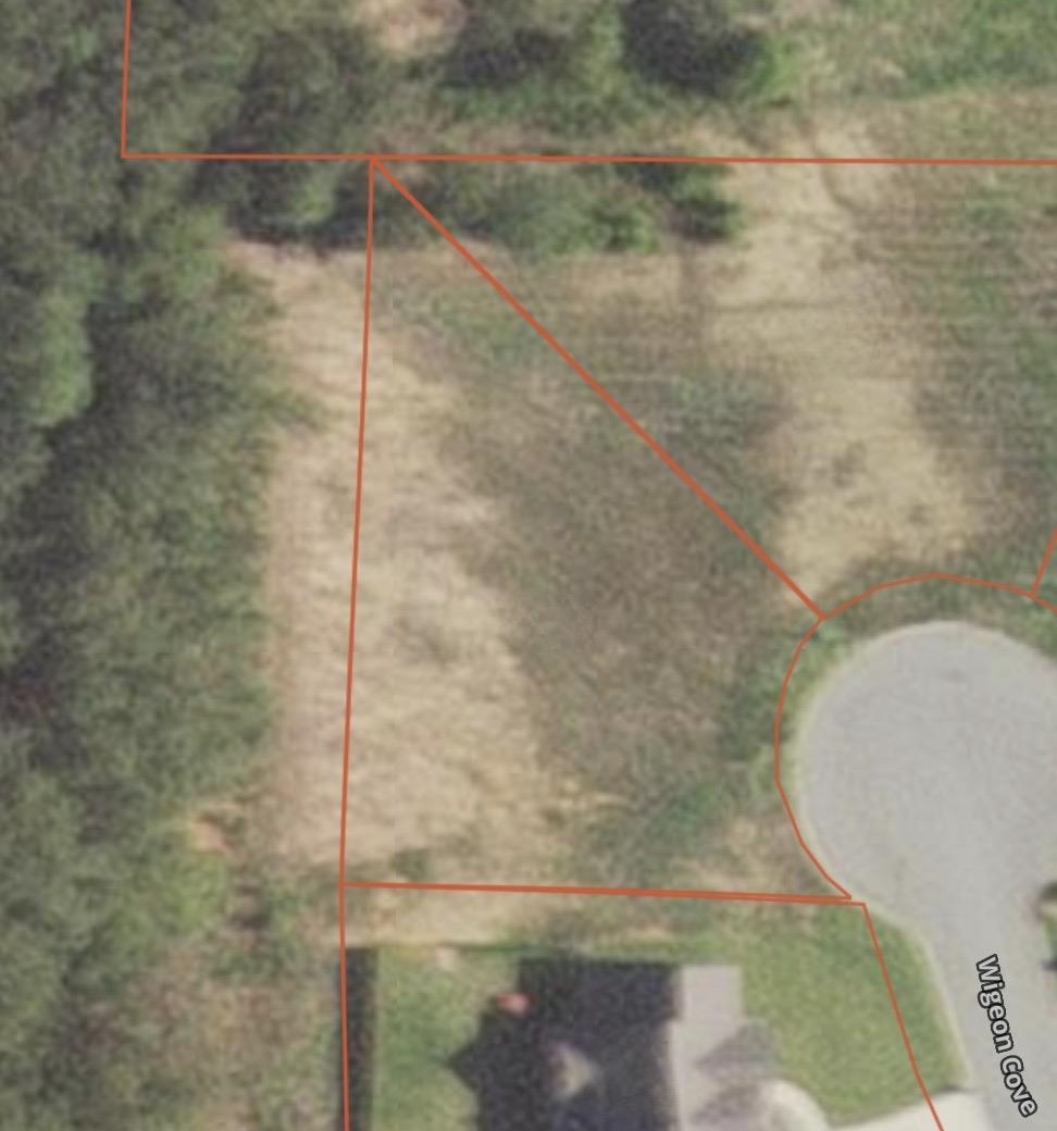 3911  Wigeon Cove  Jonesboro, AR