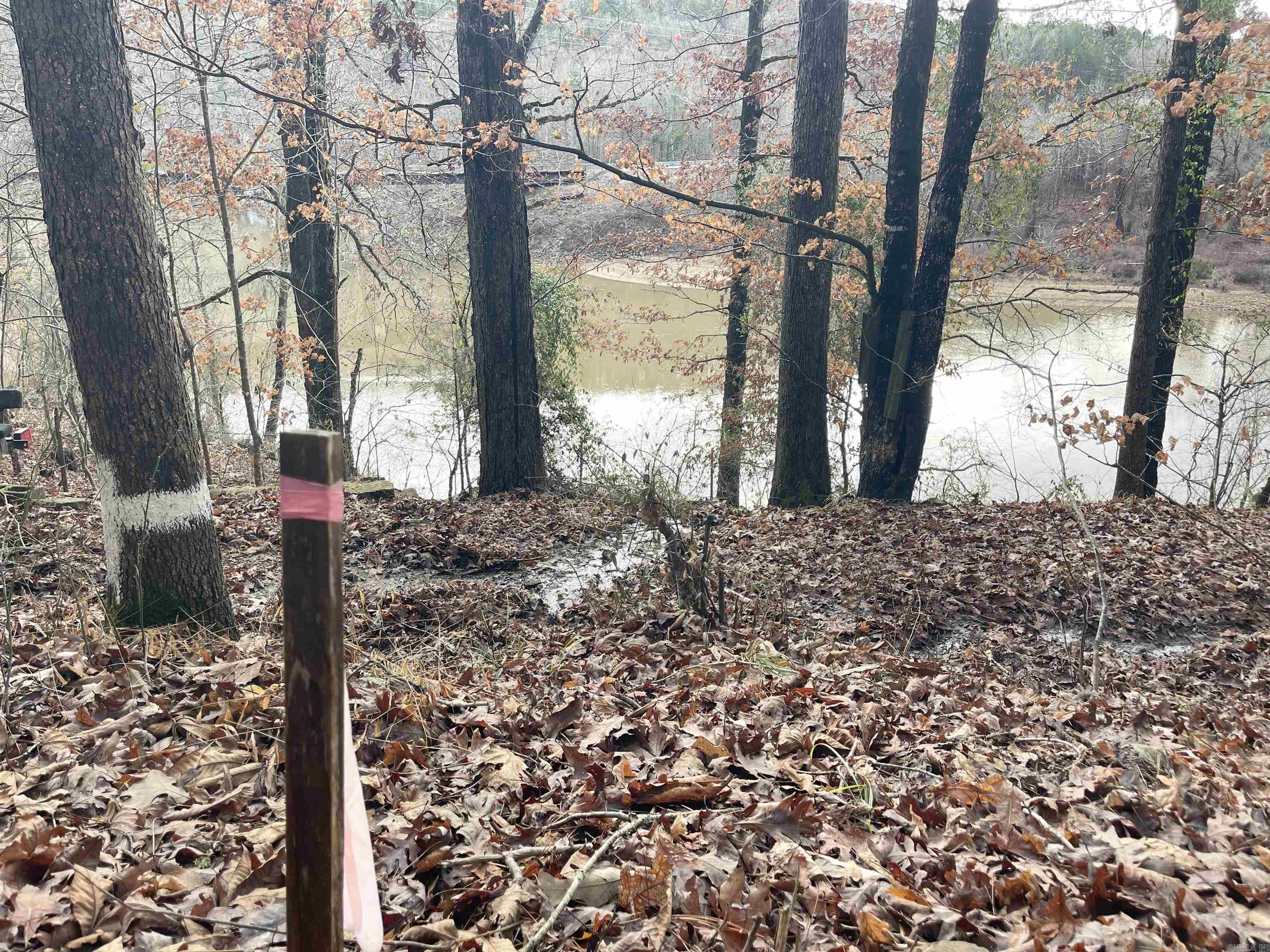 175 Calm Water Cove Prim, AR 72130