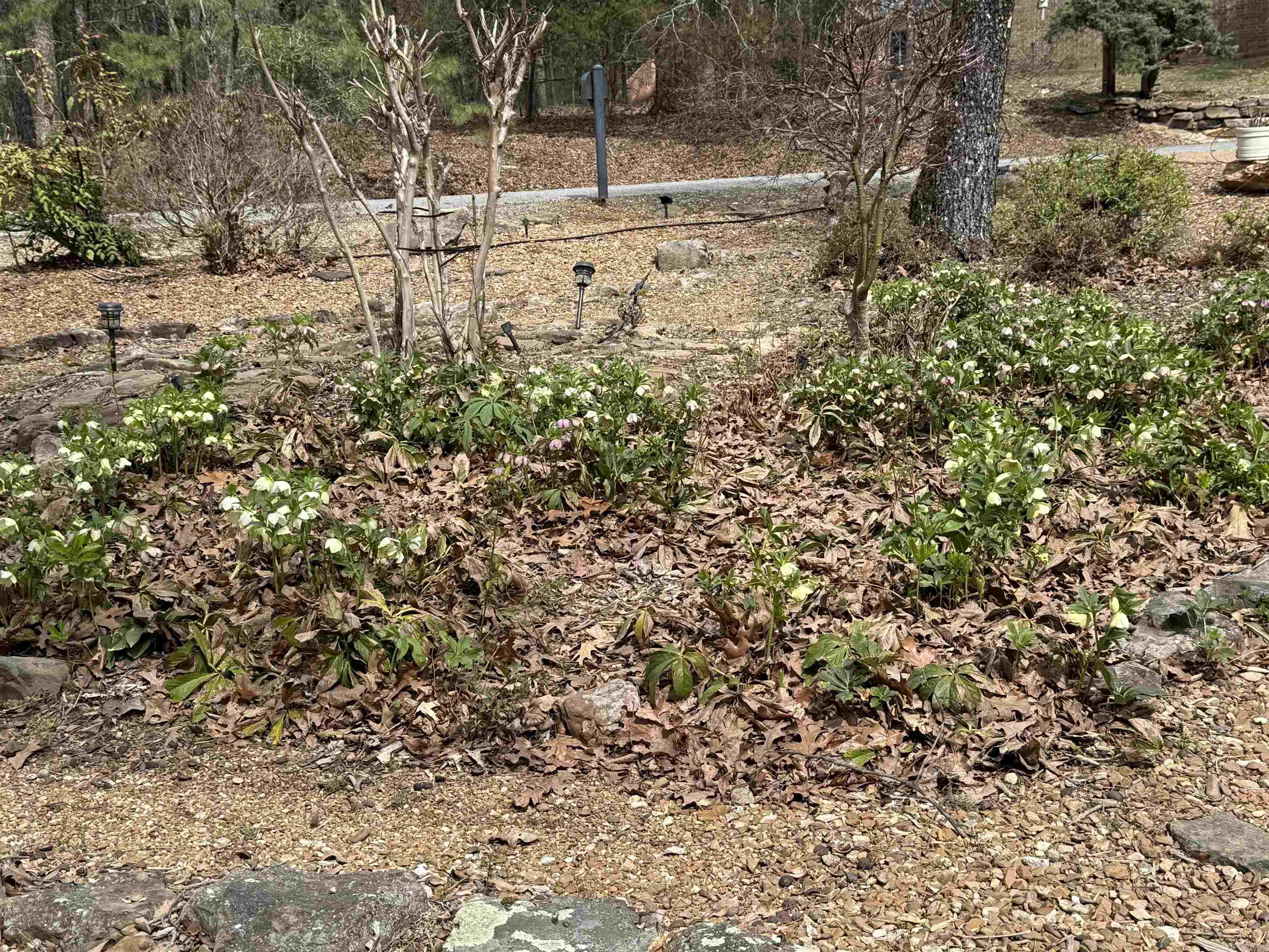 103  Tanglewood Circle  Fairfield Bay, AR