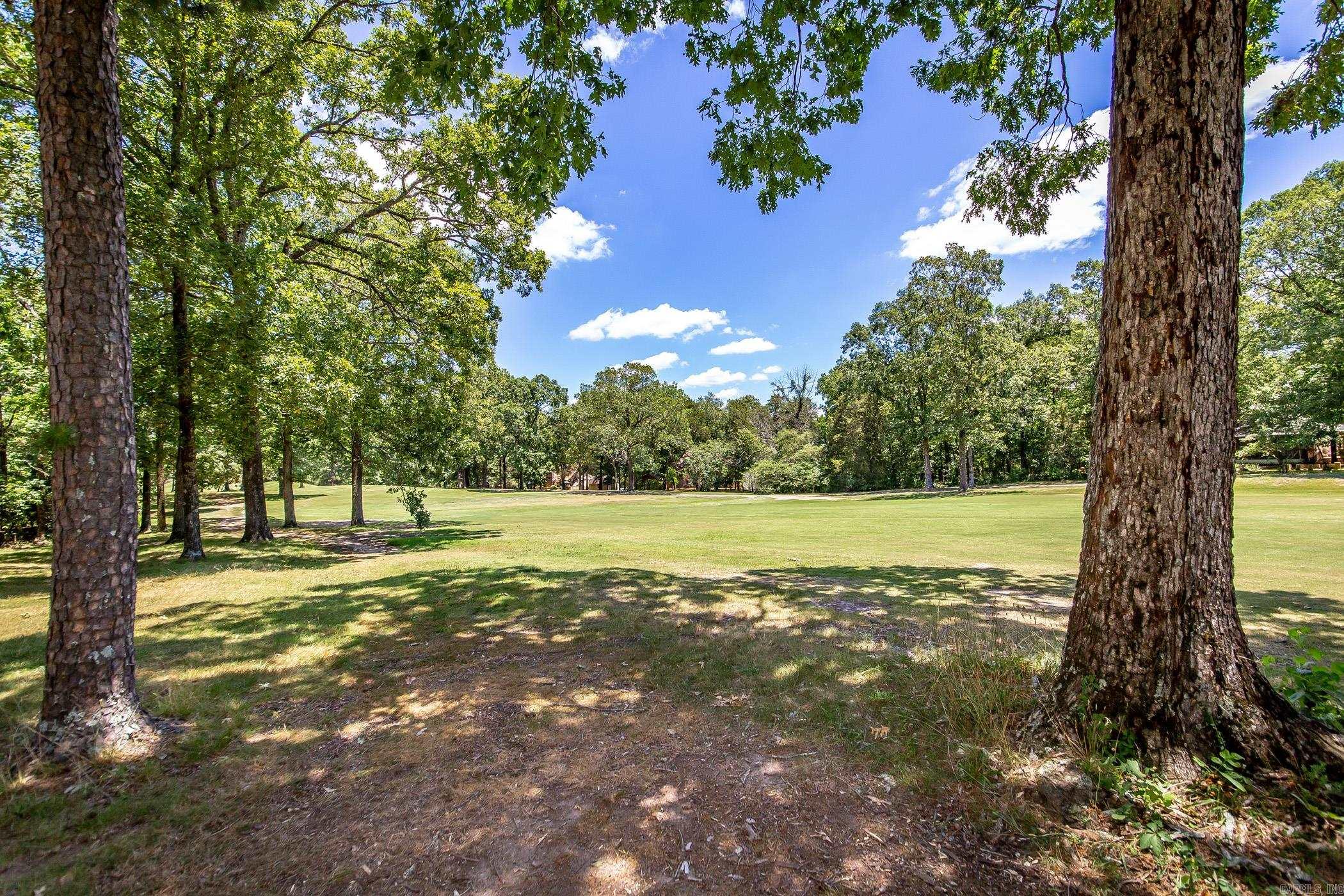 315  Castle Ridge  Fairfield Bay, AR