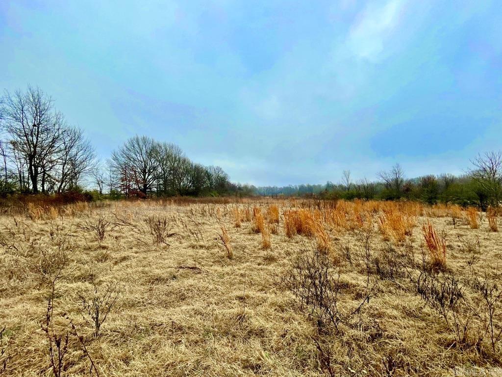 4.16 ac (+/-)  26-17-01E, Highway 67  Walnut Ridge, AR