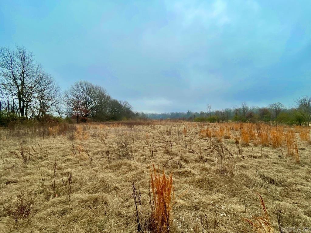 4.16 ac (+/-)  26-17-01E, Highway 67  Walnut Ridge, AR