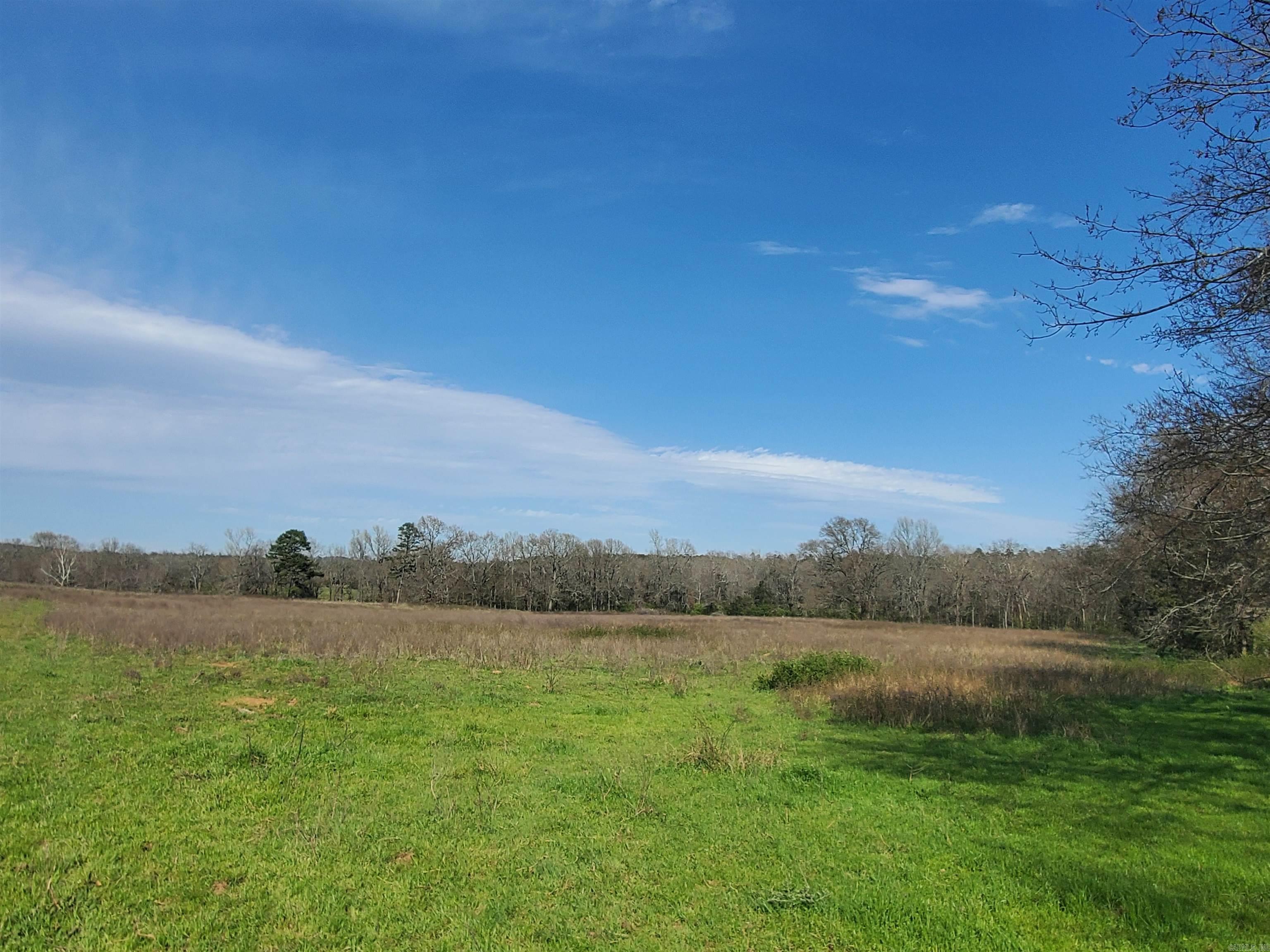 820  Blow Out Mtn.  Pencil Bluff, AR