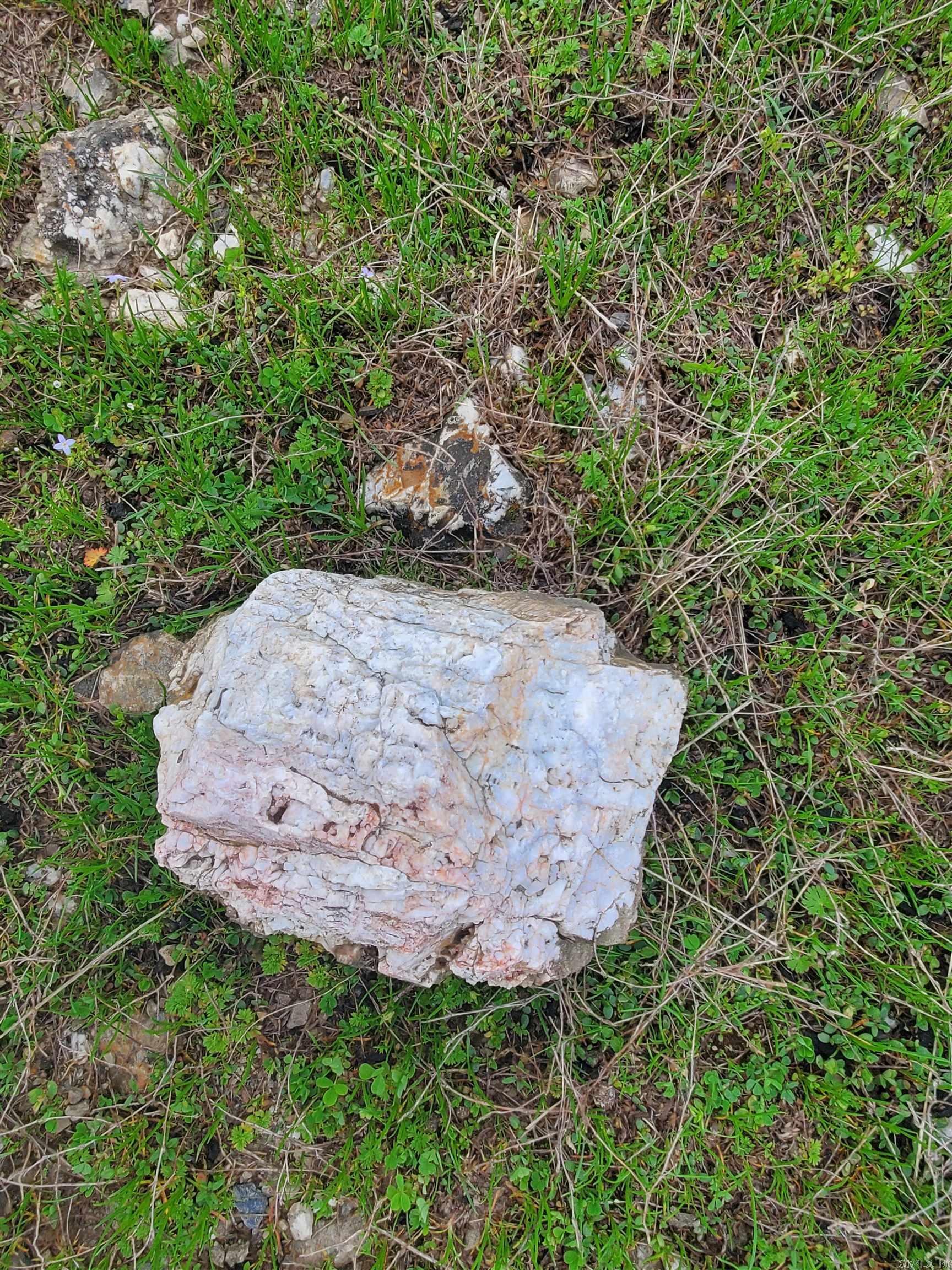 820  Blow Out Mtn.  Pencil Bluff, AR