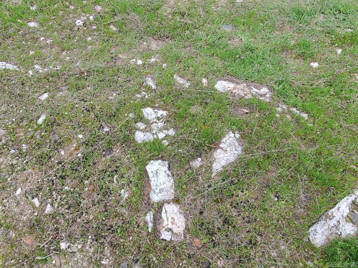 820  Blow Out Mtn.  Pencil Bluff, AR
