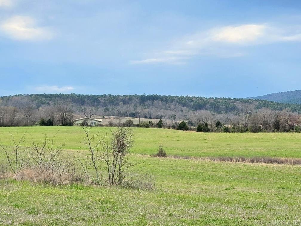 820  Blow Out Mtn.  Pencil Bluff, AR