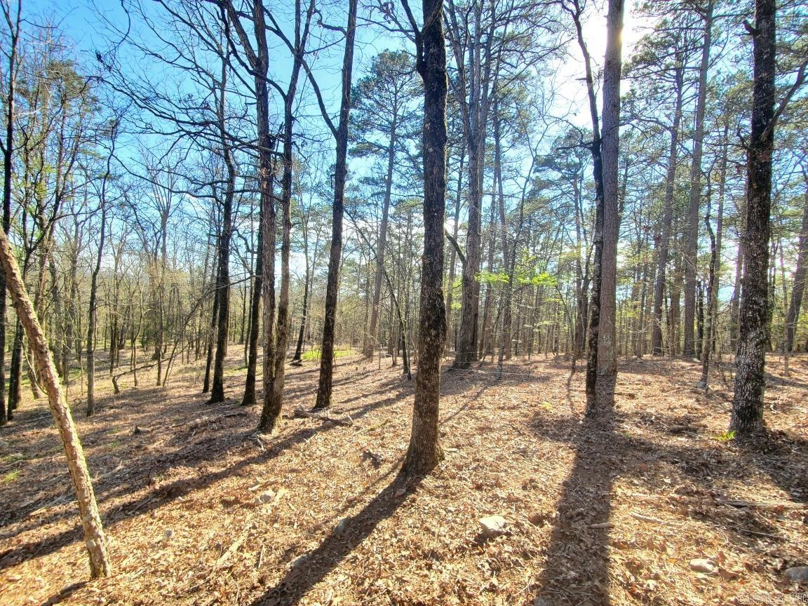 820  Blow Out Mtn.  Pencil Bluff, AR