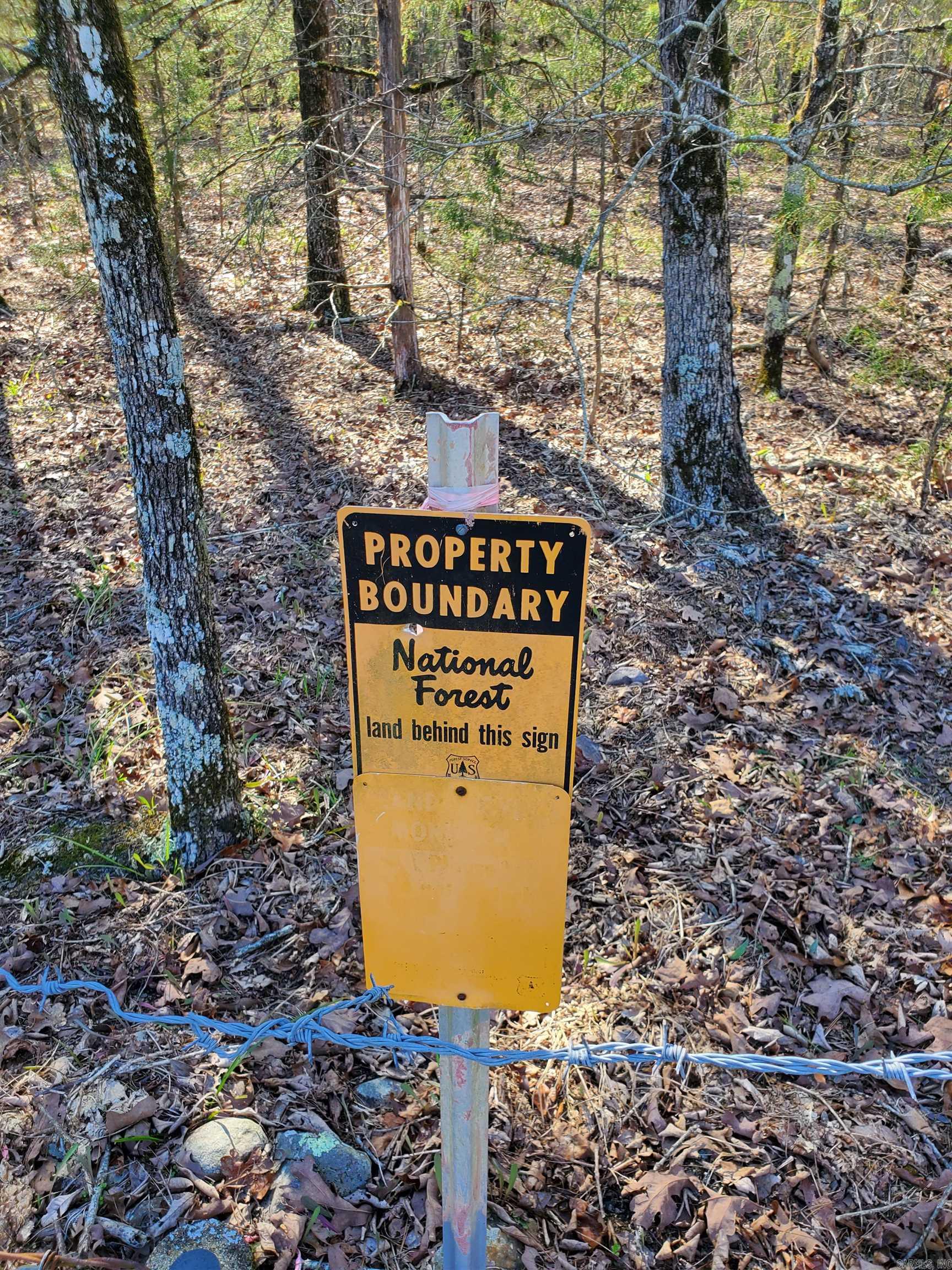 820  Blow Out Mtn.  Pencil Bluff, AR
