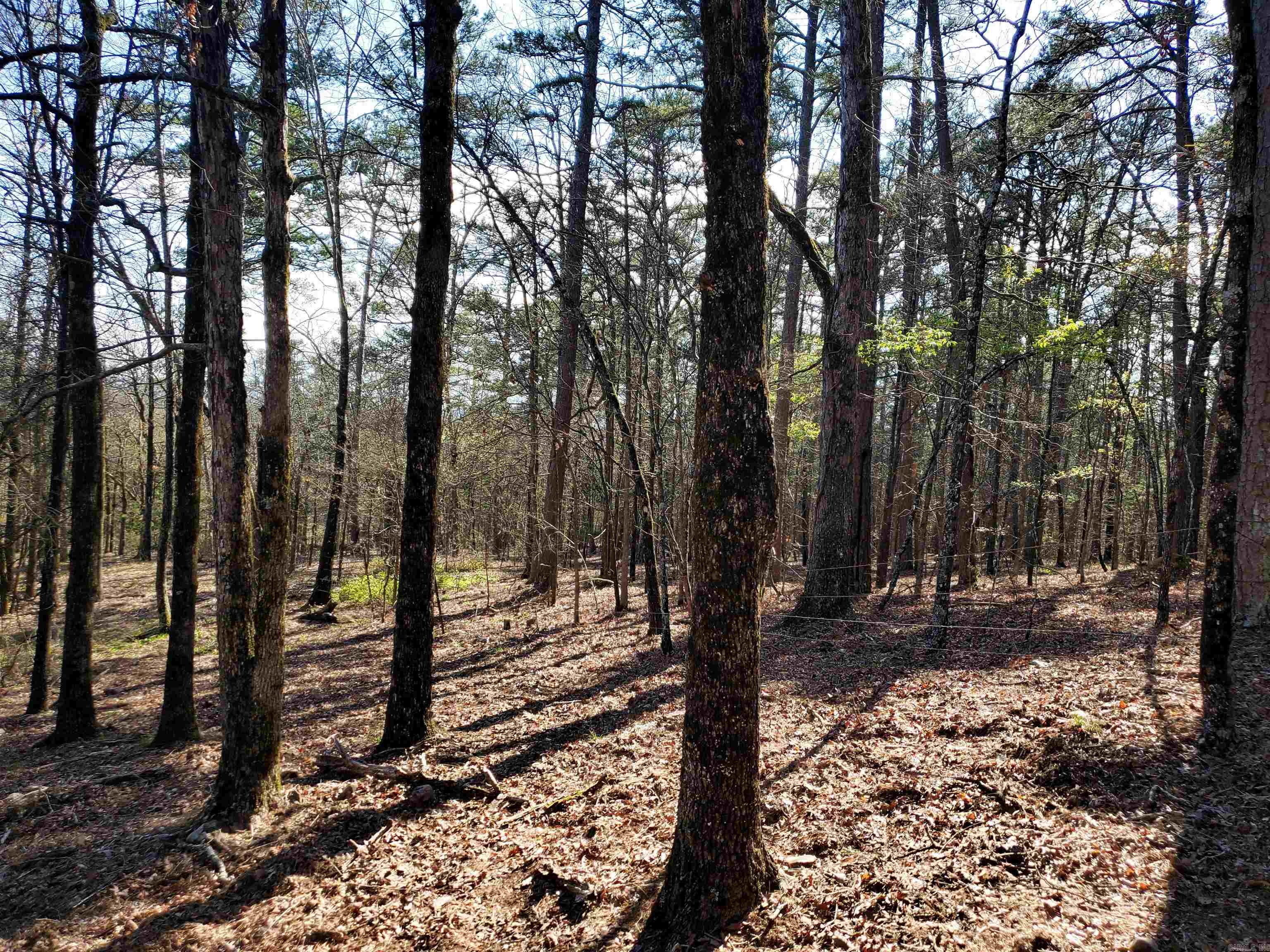 820  Blow Out Mtn.  Pencil Bluff, AR