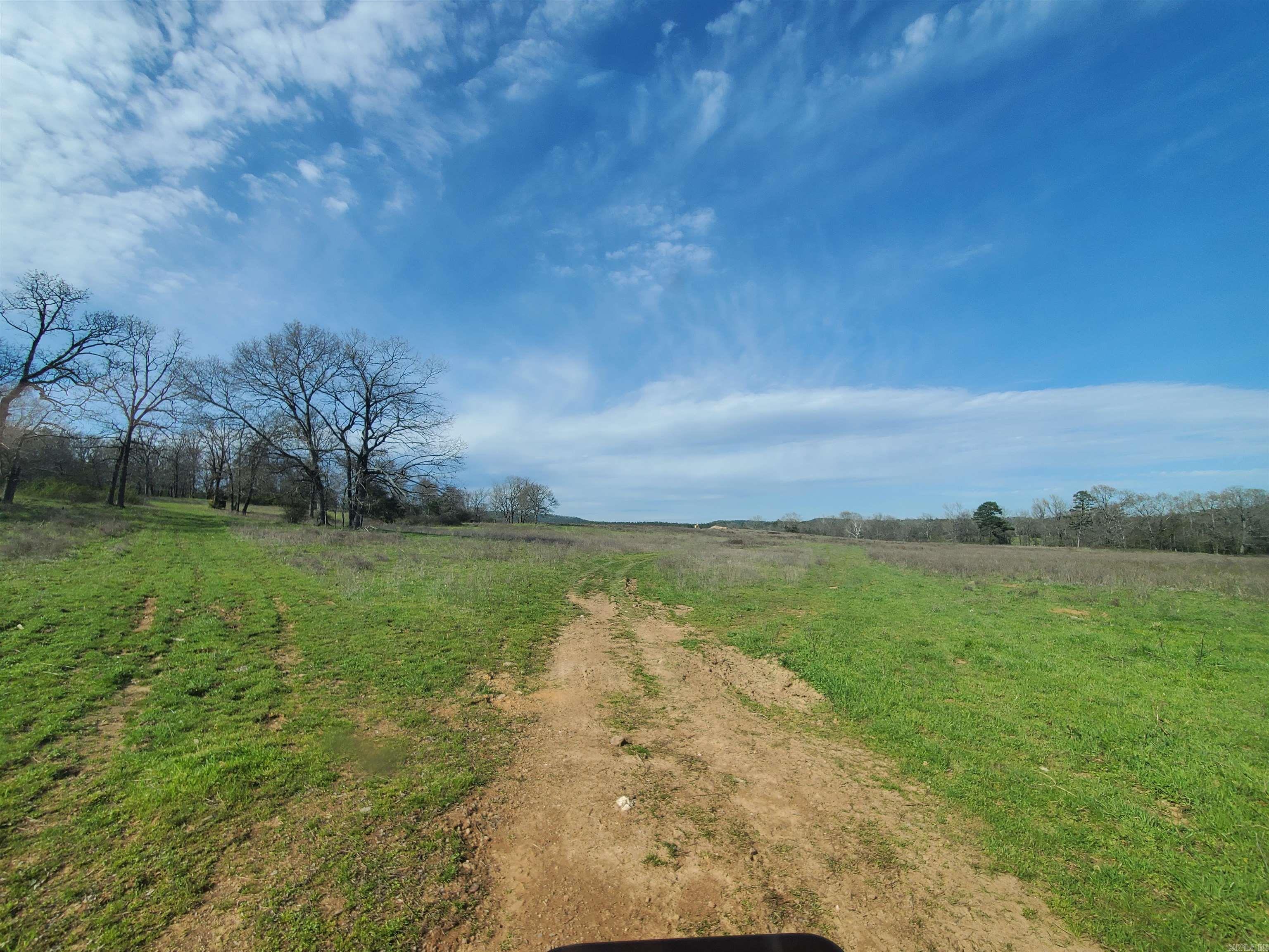 820  Blow Out Mtn.  Pencil Bluff, AR