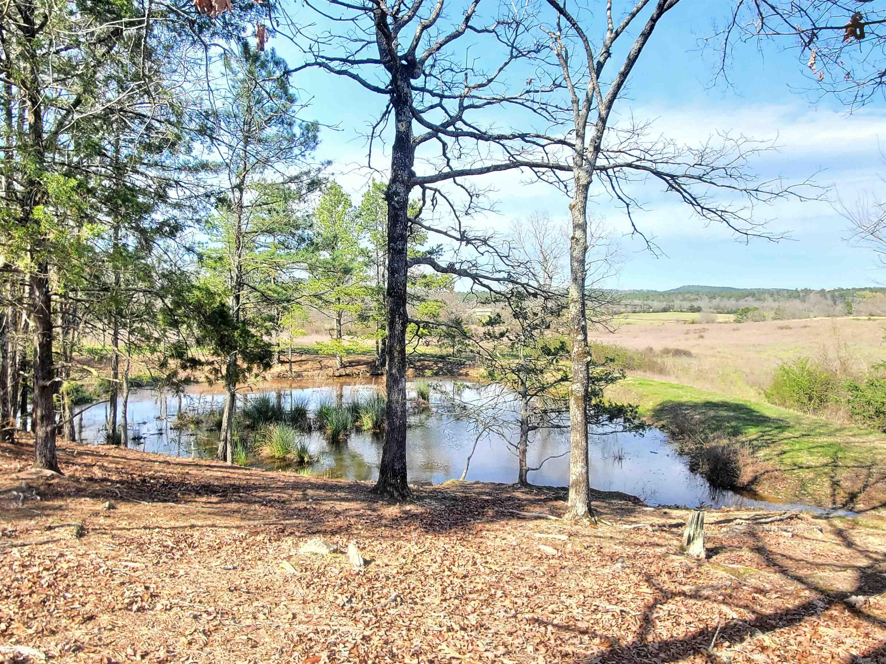 820  Blow Out Mtn.  Pencil Bluff, AR