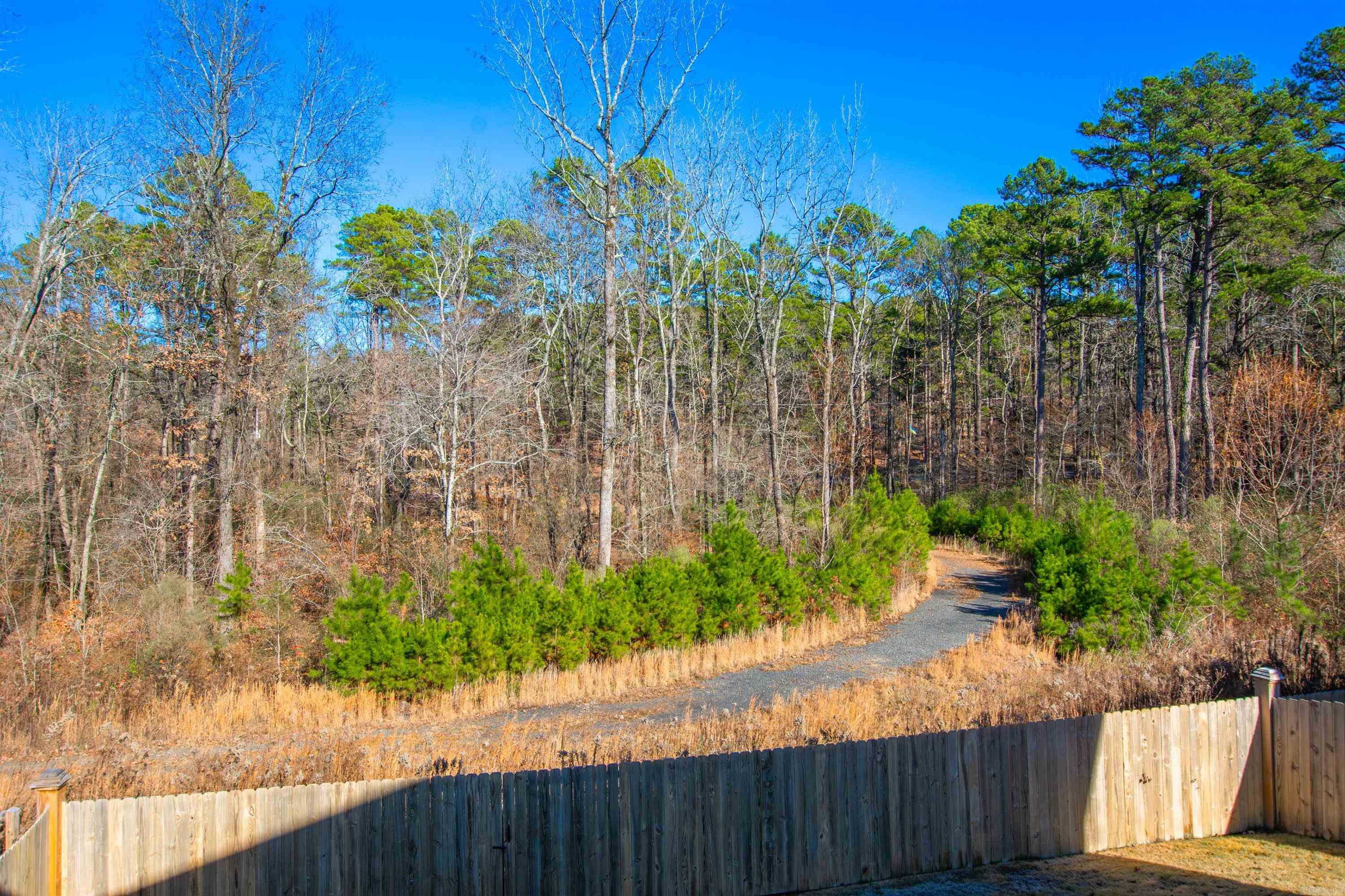 63  Saffron  Little Rock, AR