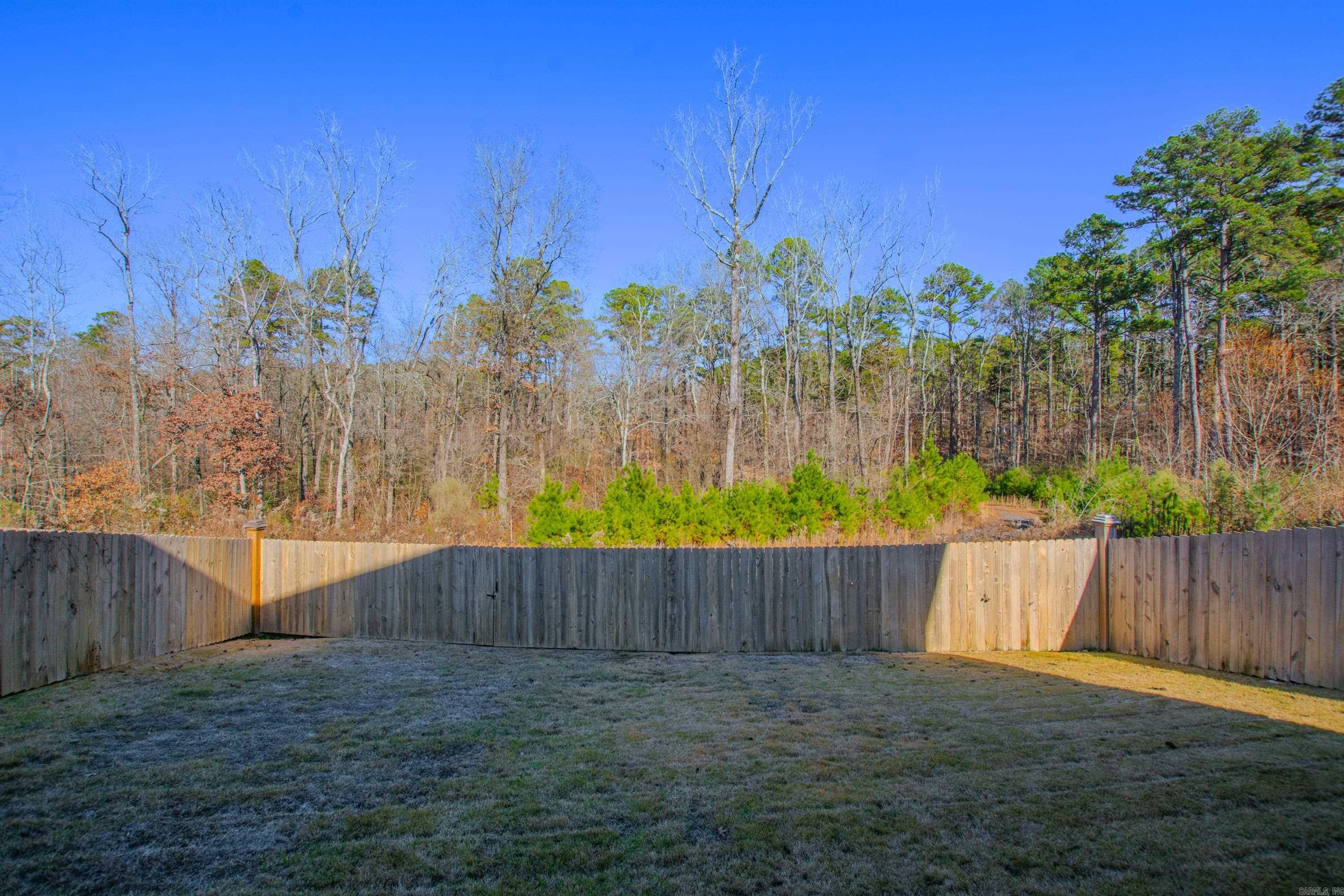 63  Saffron  Little Rock, AR