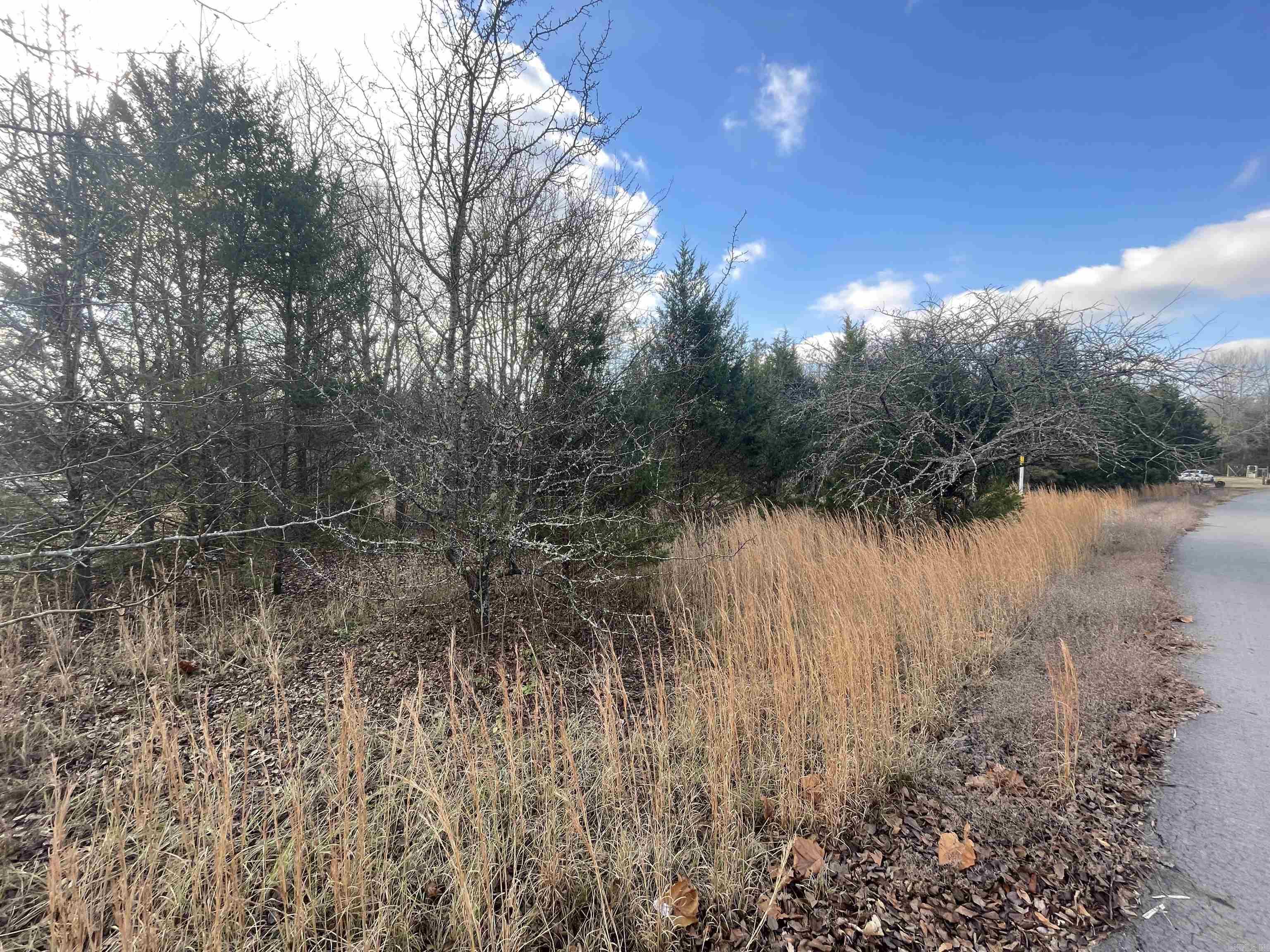 00  Cedar  Menifee, AR
