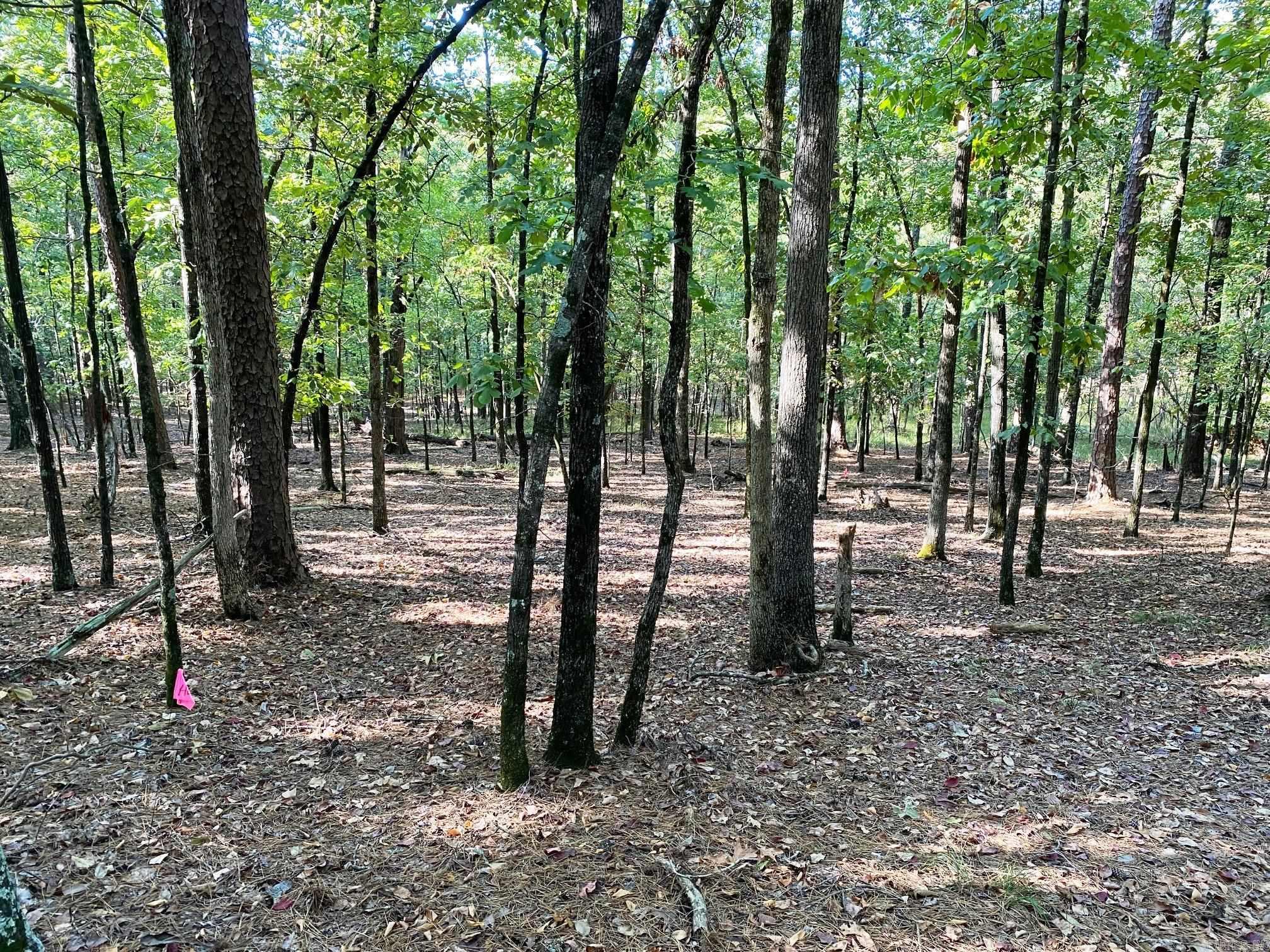 000  Foxridge  Little Rock, AR
