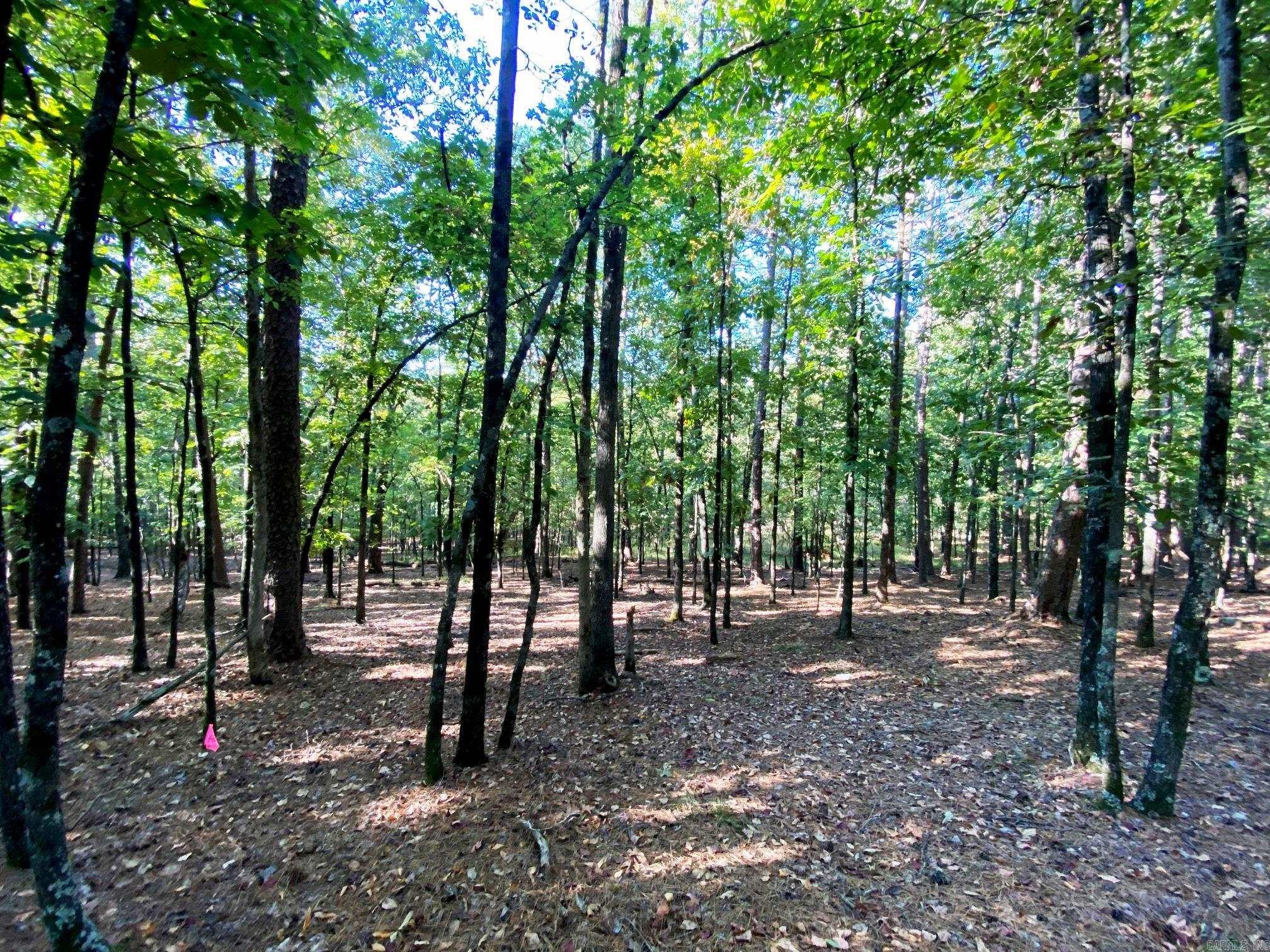 000  Foxridge  Little Rock, AR
