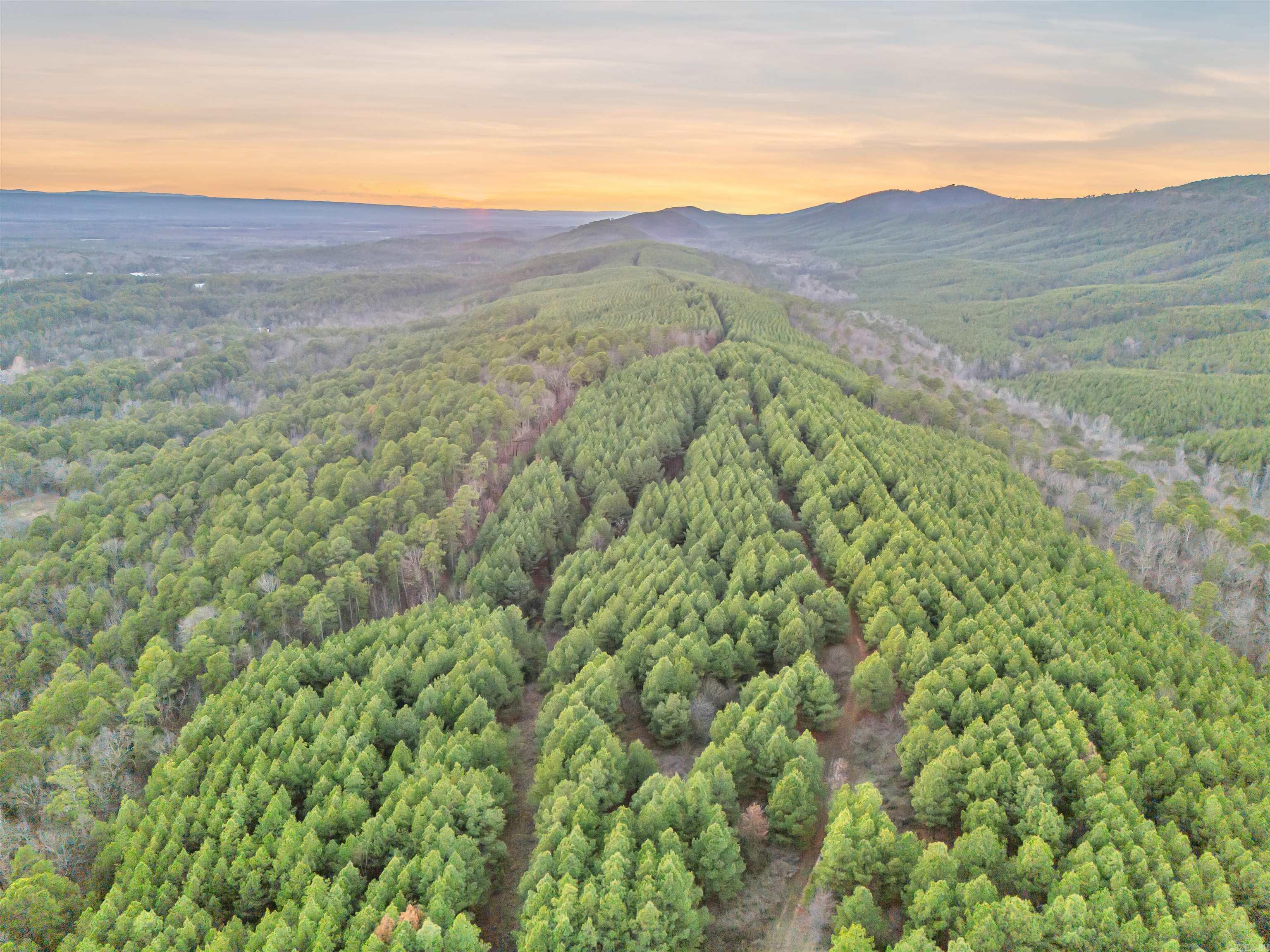 15.48 Acres N Hill  Perryville, AR