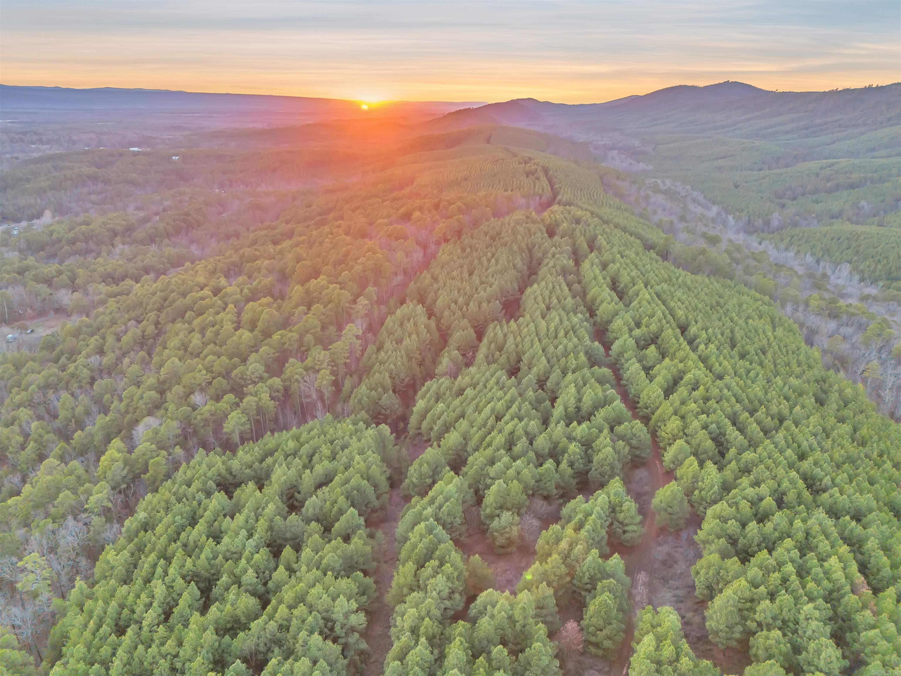 15.48 Acres N Hill  Perryville, AR