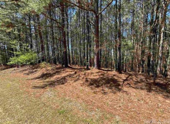 28  Pizarro  Hot Springs Village, AR