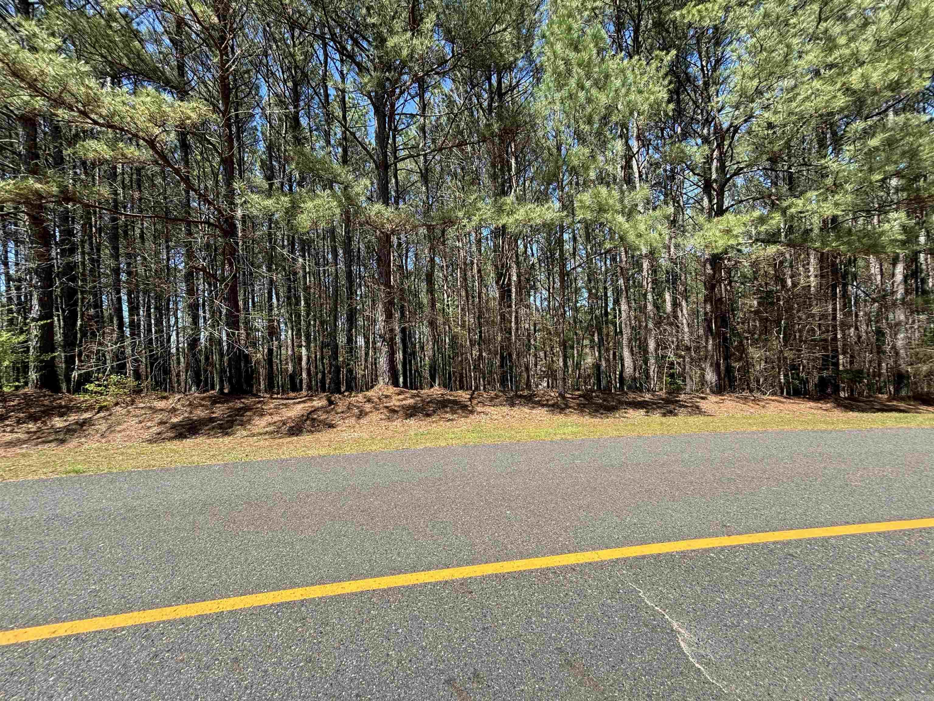 30  Pizarro  Hot Springs Village, AR