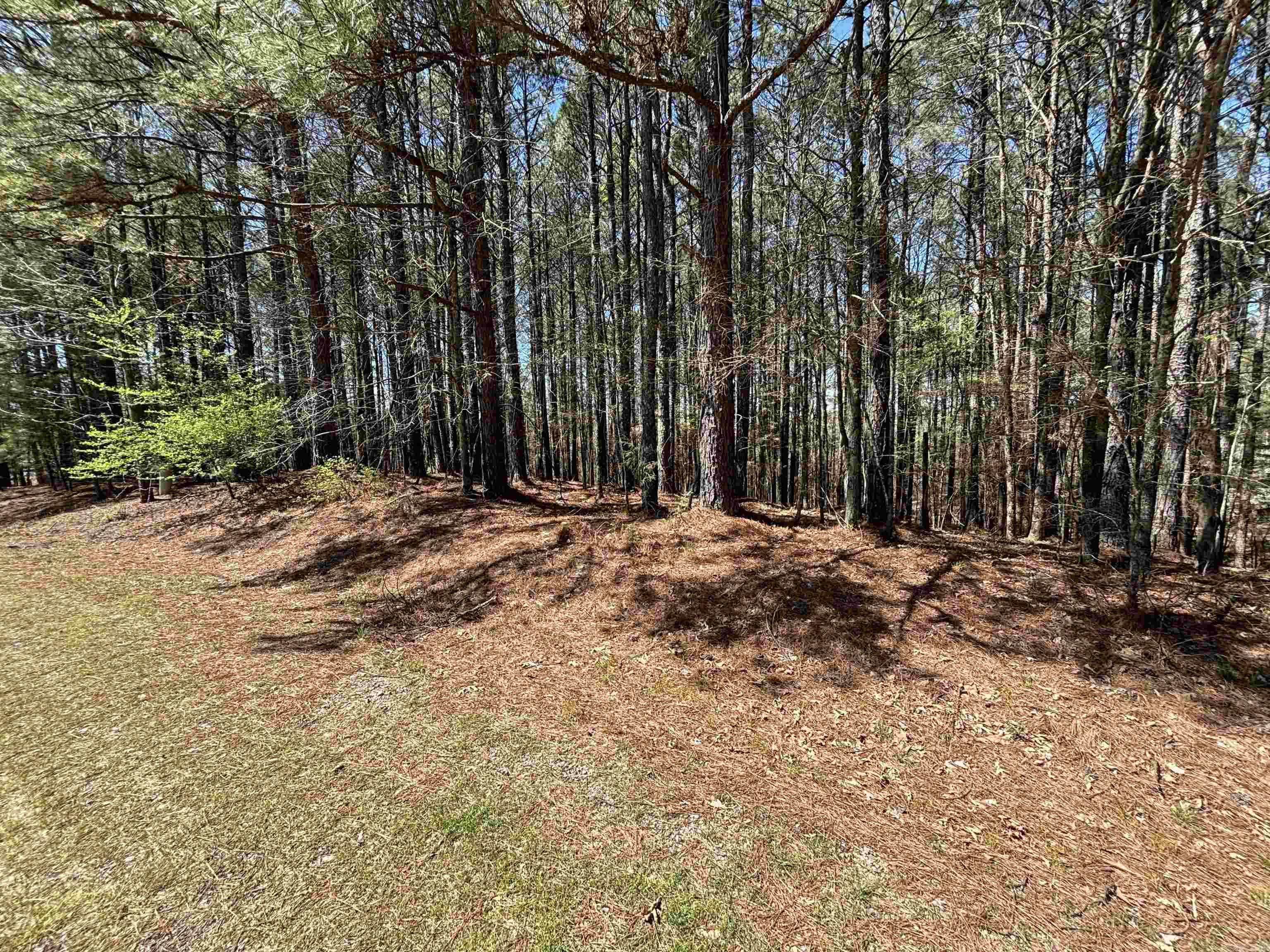 30  Pizarro  Hot Springs Village, AR