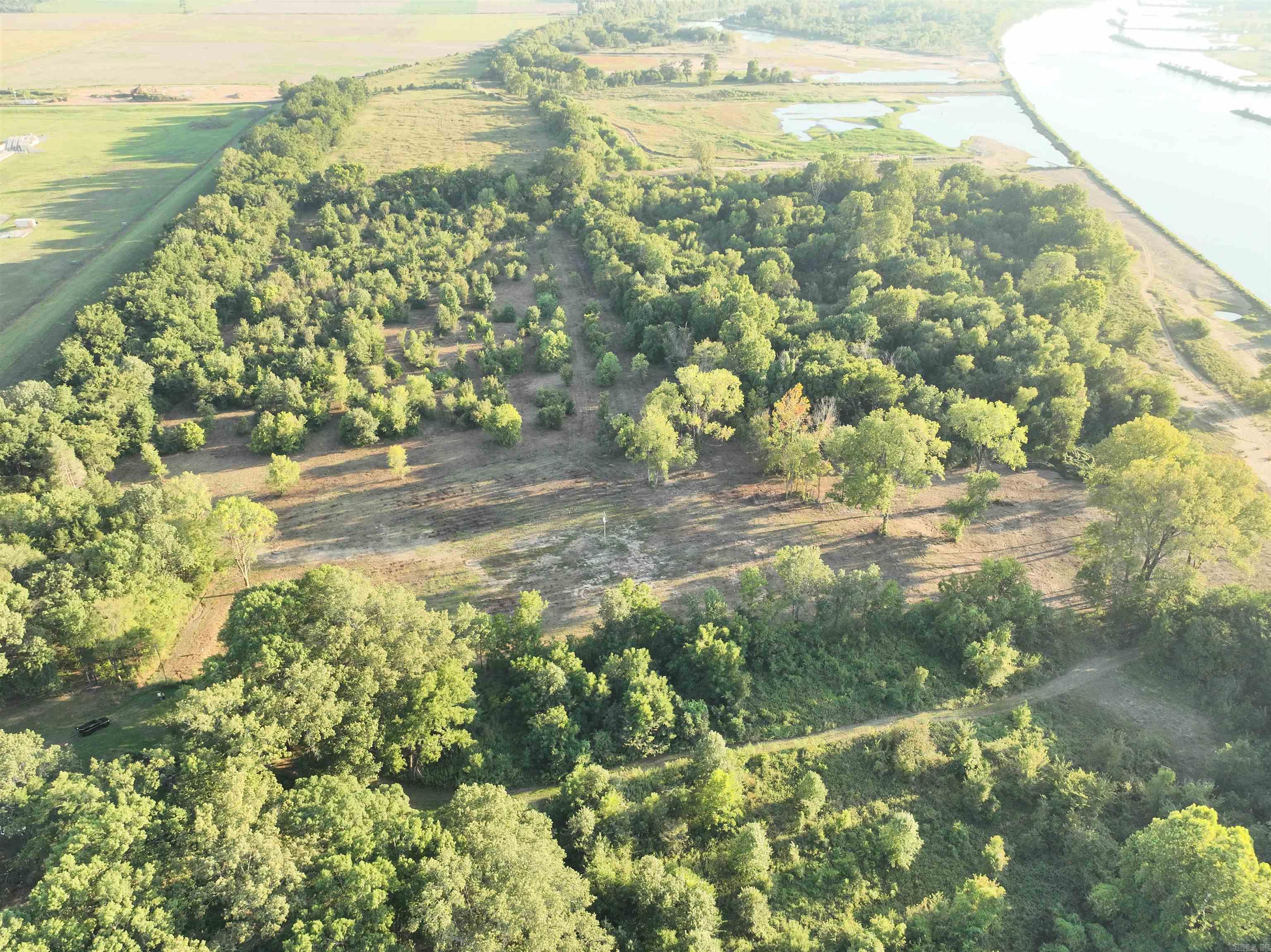 1403  Lollie  Conway, AR