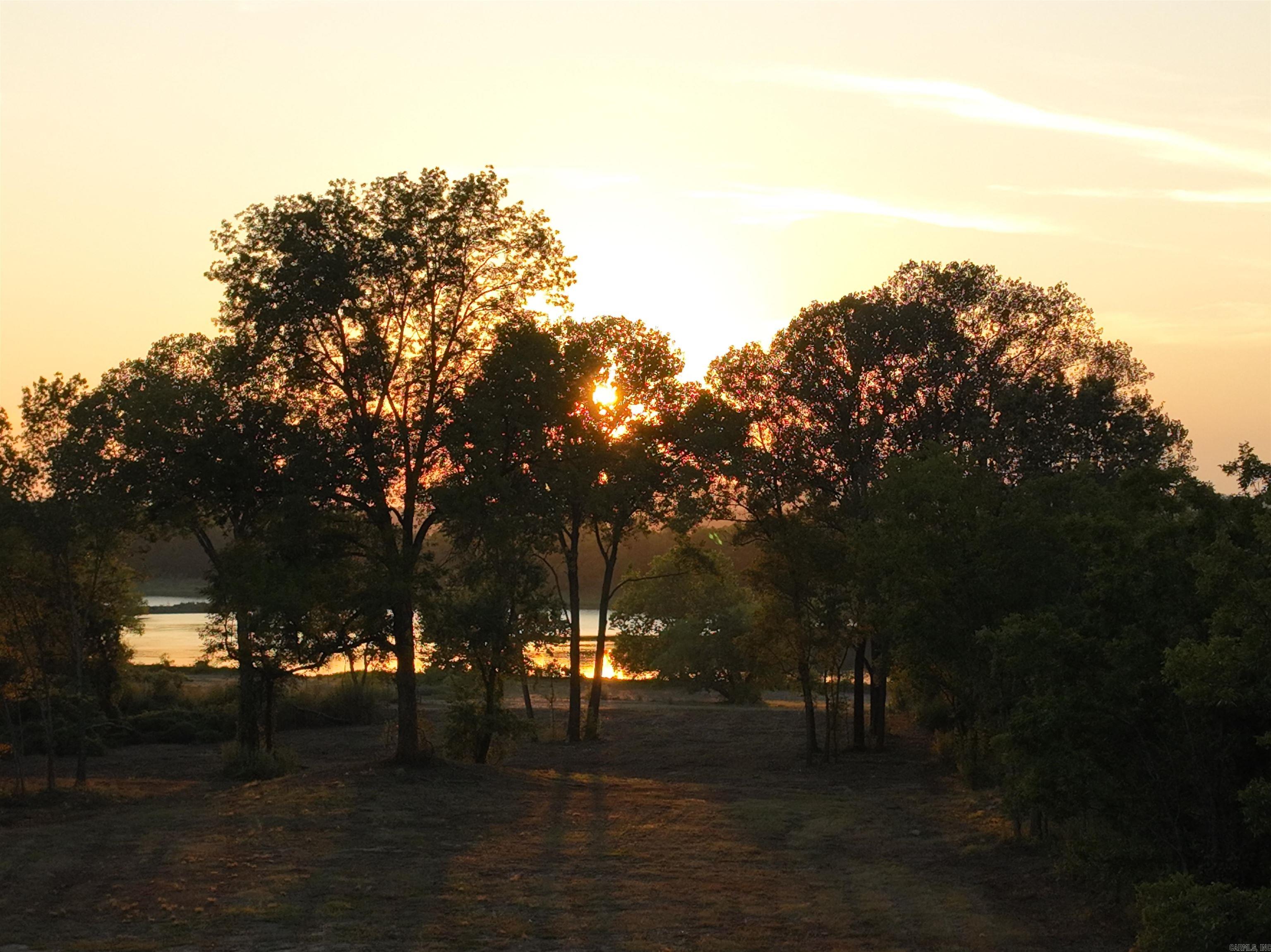 1403  Lollie  Conway, AR