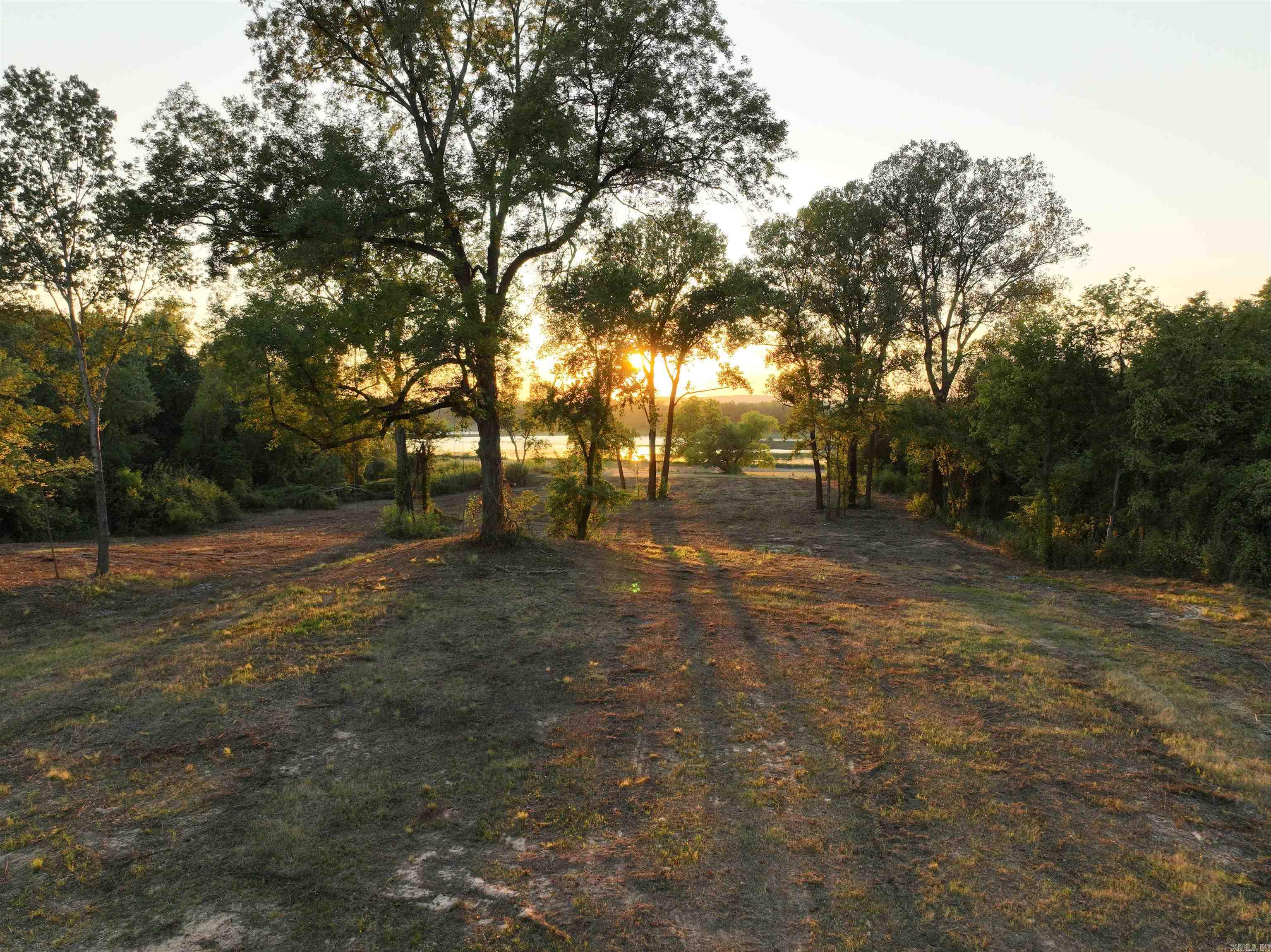 1403  Lollie  Conway, AR