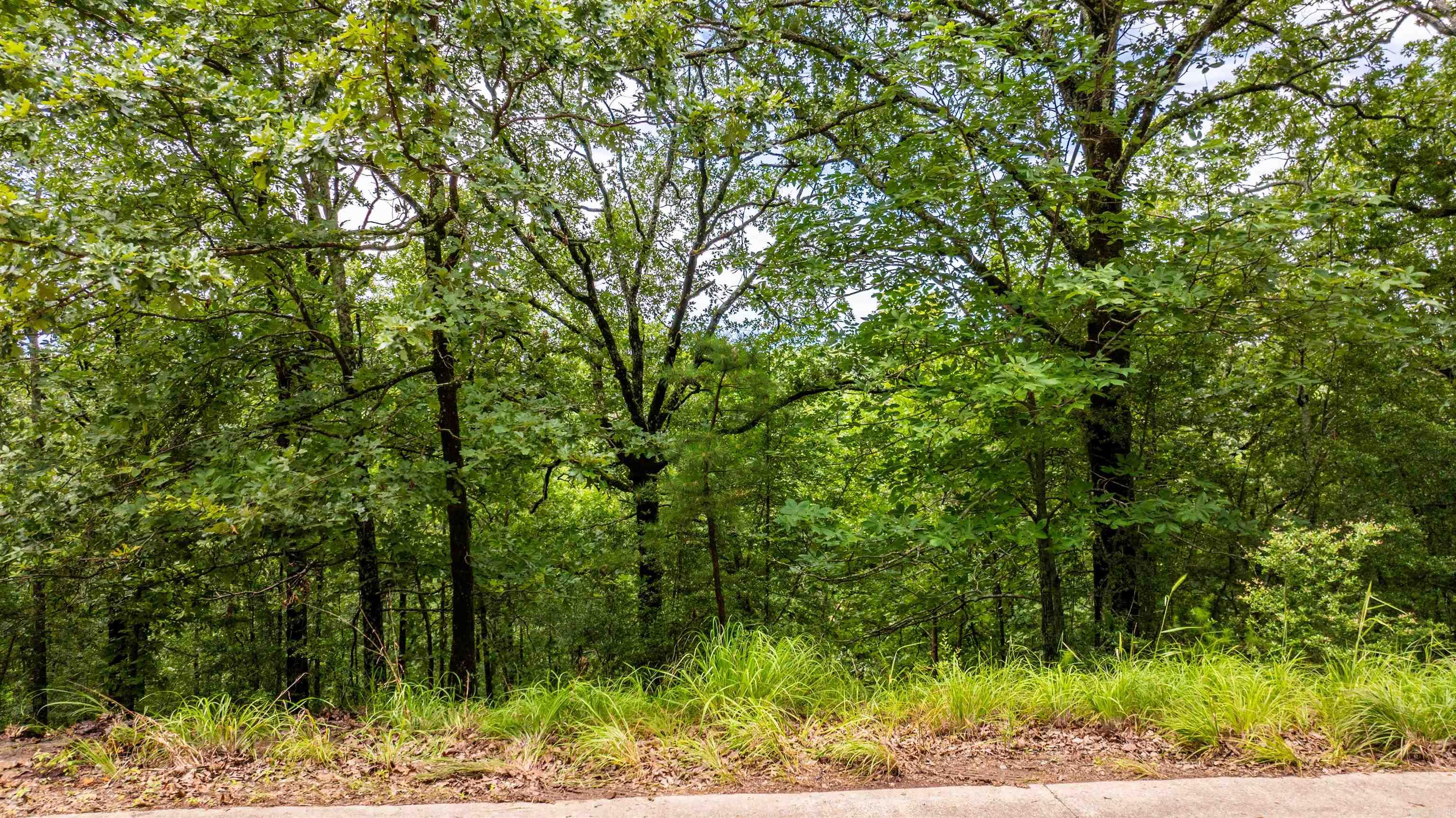 11  Vantage  Little Rock, AR