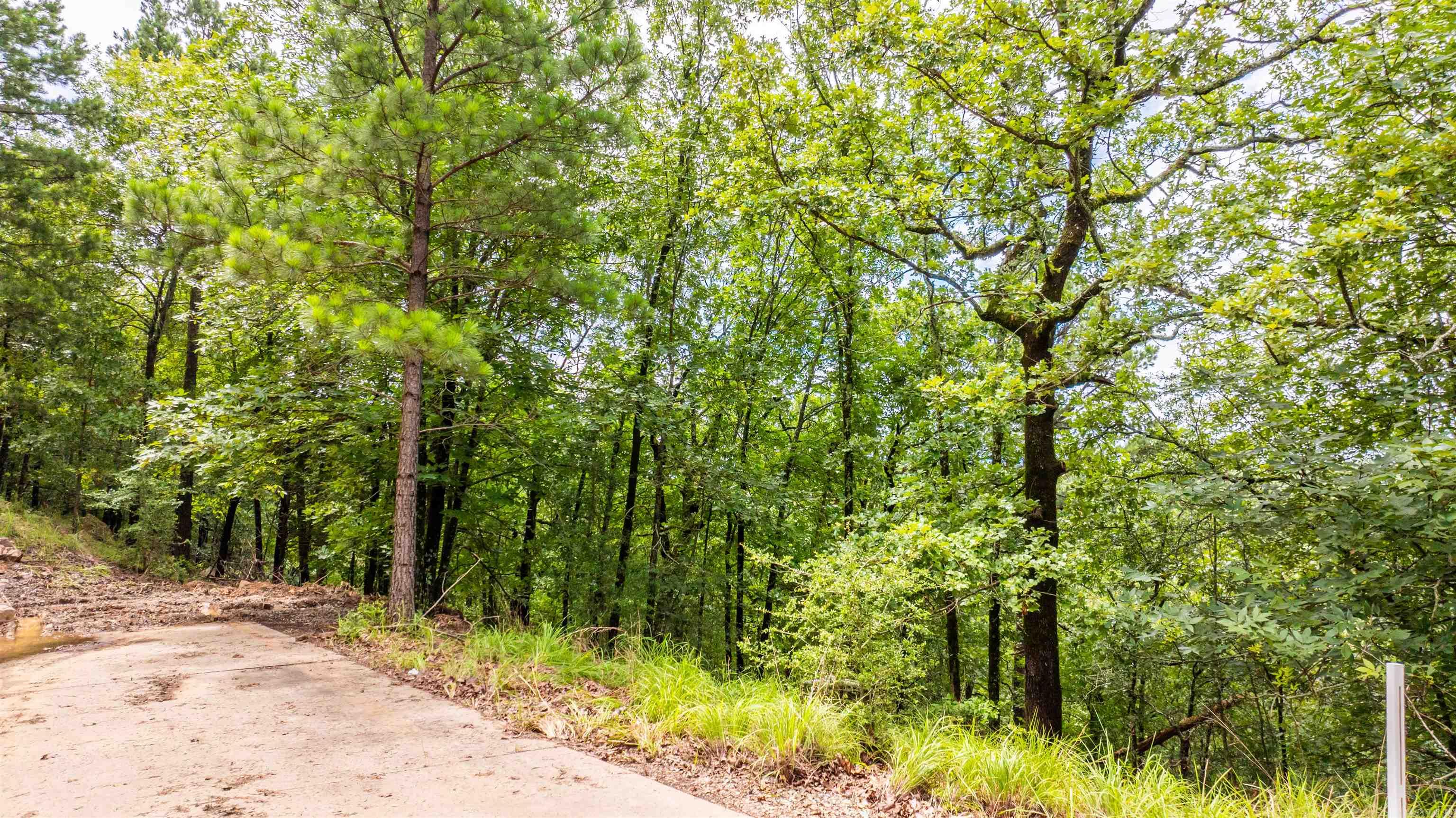 11  Vantage  Little Rock, AR