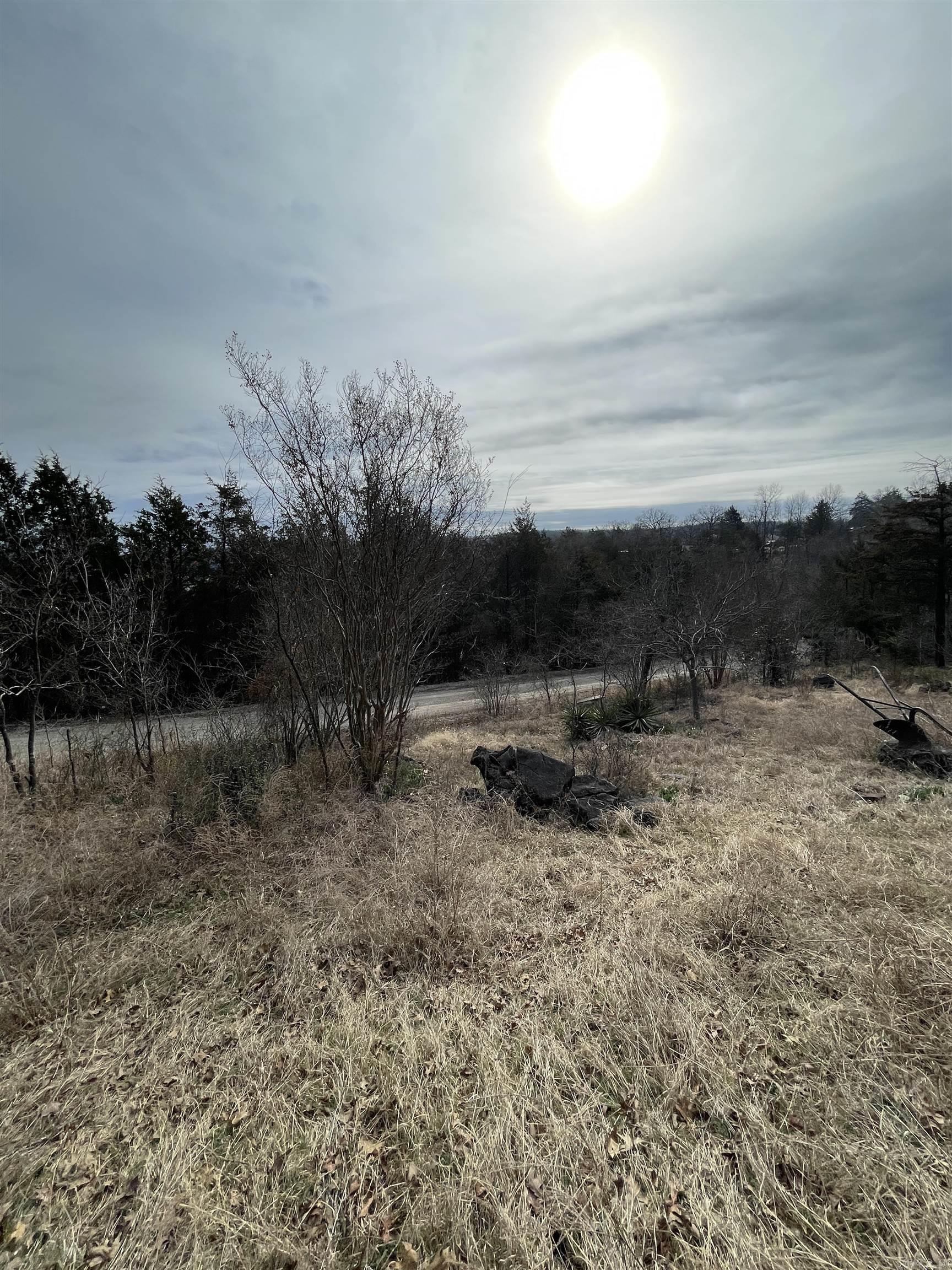 Lot 115  Green Haven  Mountain Home, AR