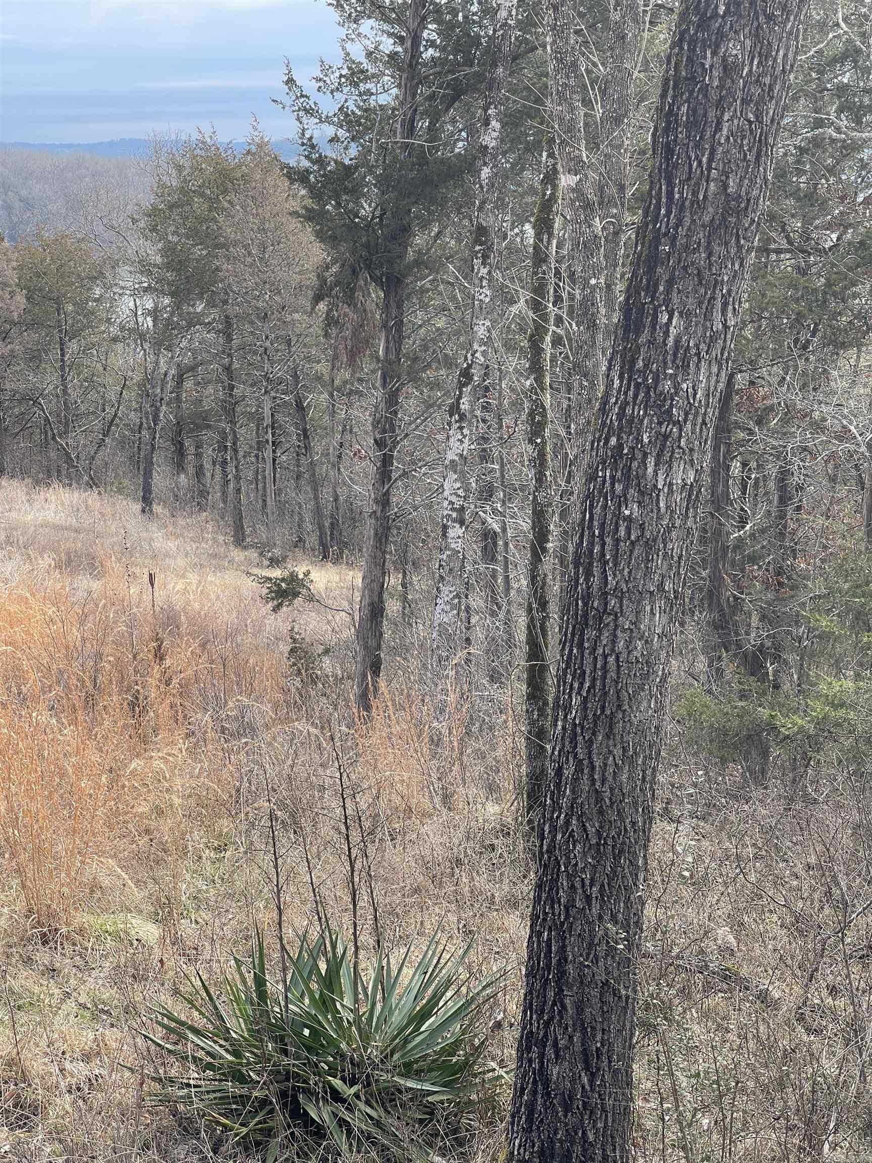 Lot 116  Green Haven  Mountain Home, AR