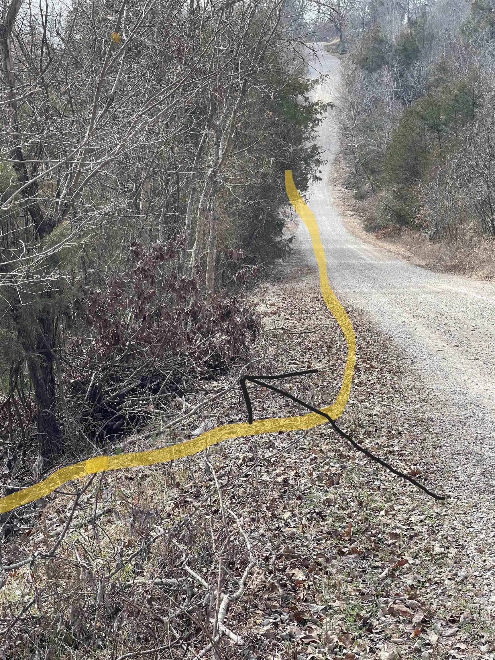 Lot 116  Green Haven  Mountain Home, AR