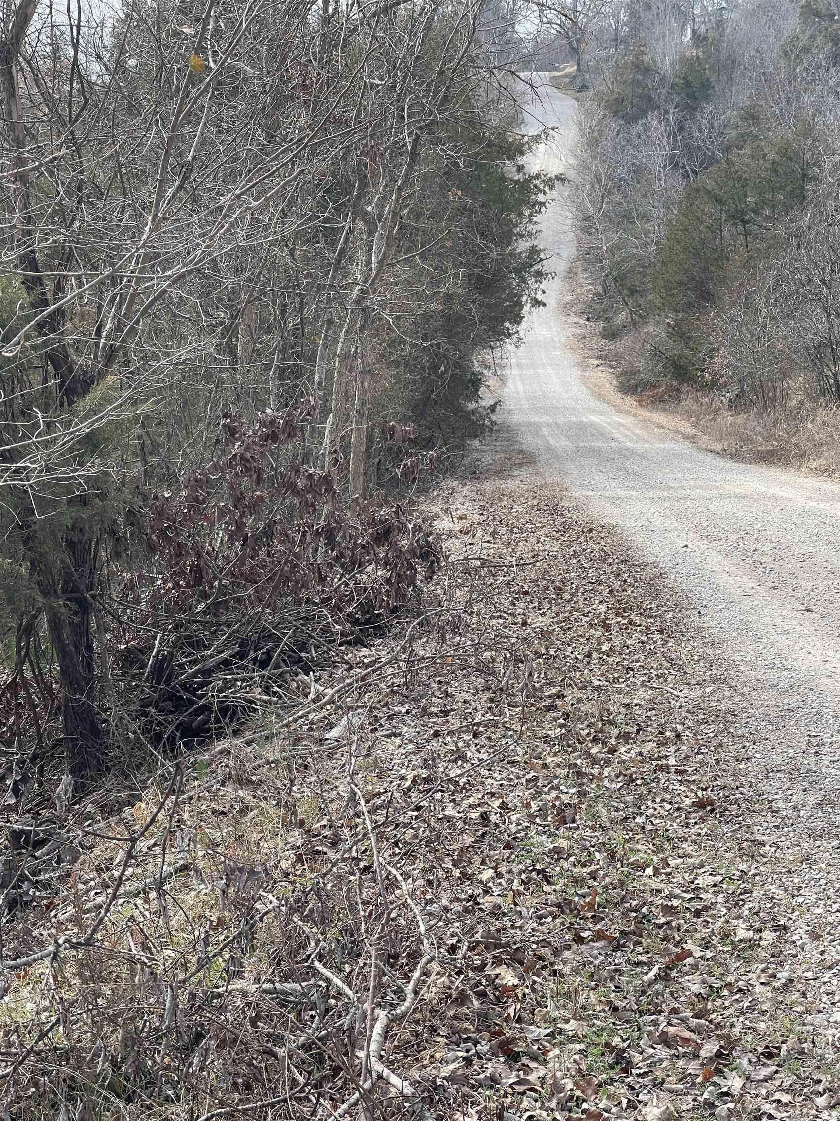 Lot 116  Green Haven  Mountain Home, AR