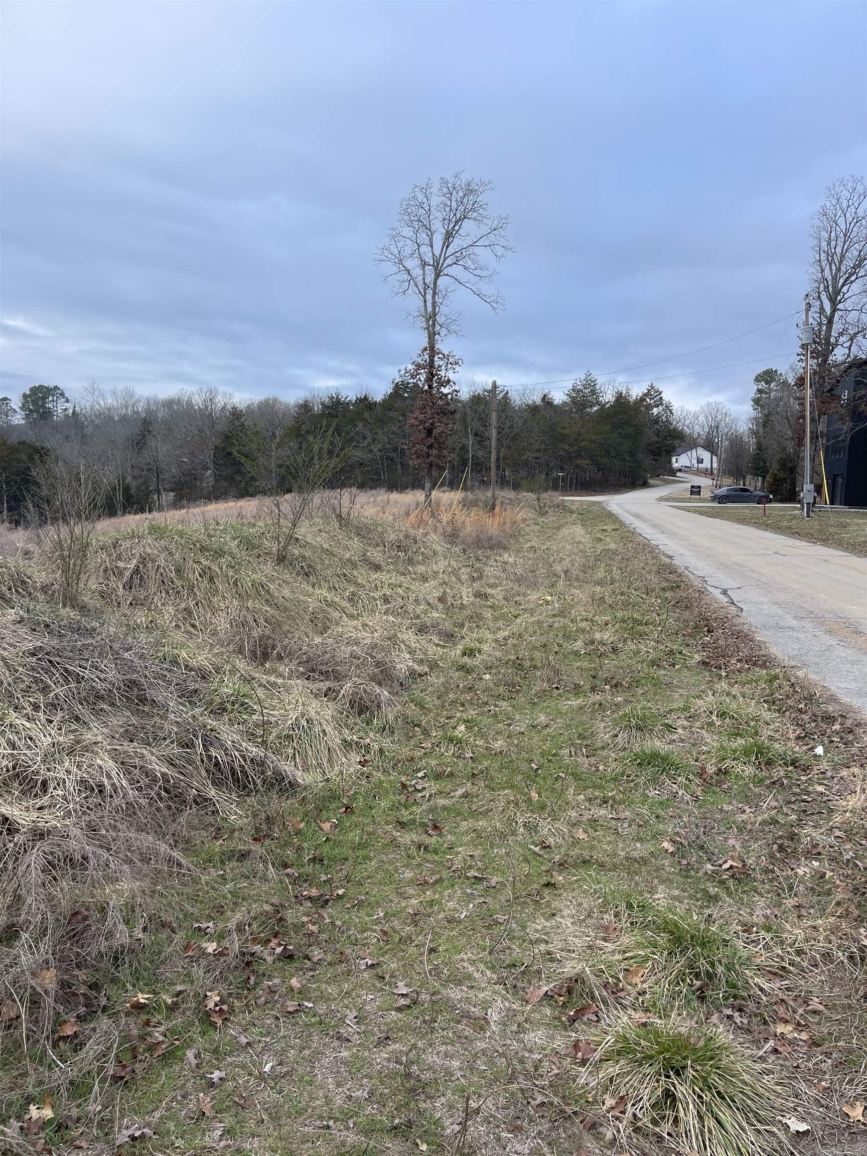 Lot 116  Green Haven  Mountain Home, AR