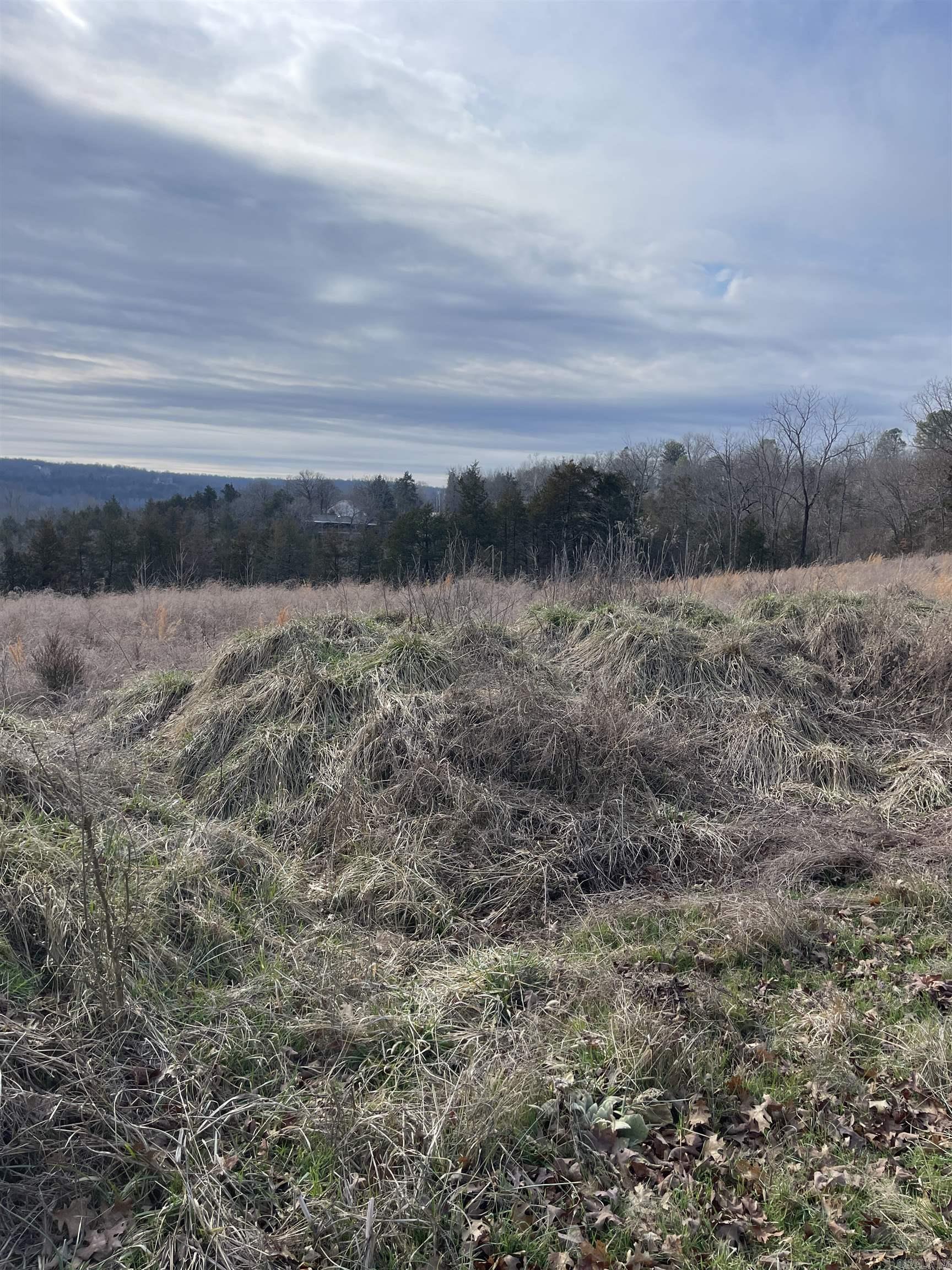 Lot 116  Green Haven  Mountain Home, AR