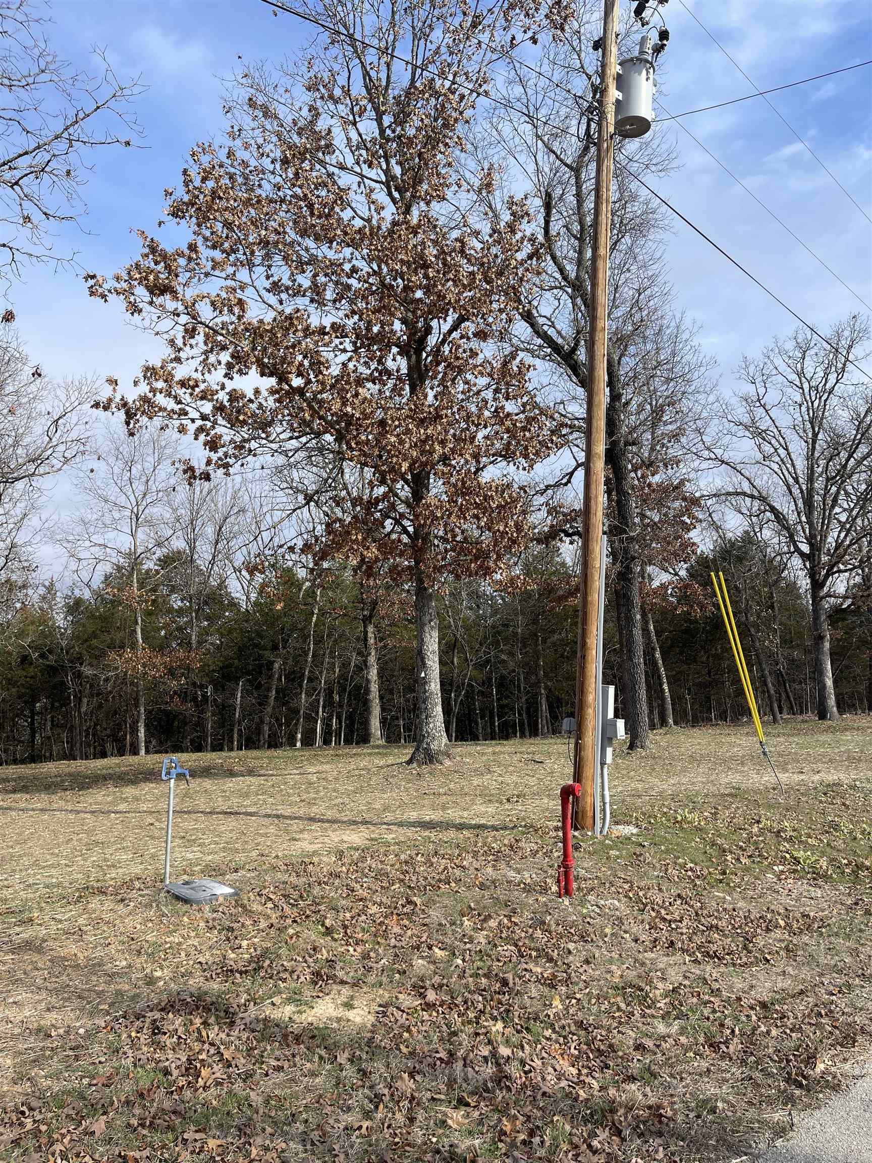 Lot 116  Green Haven  Mountain Home, AR