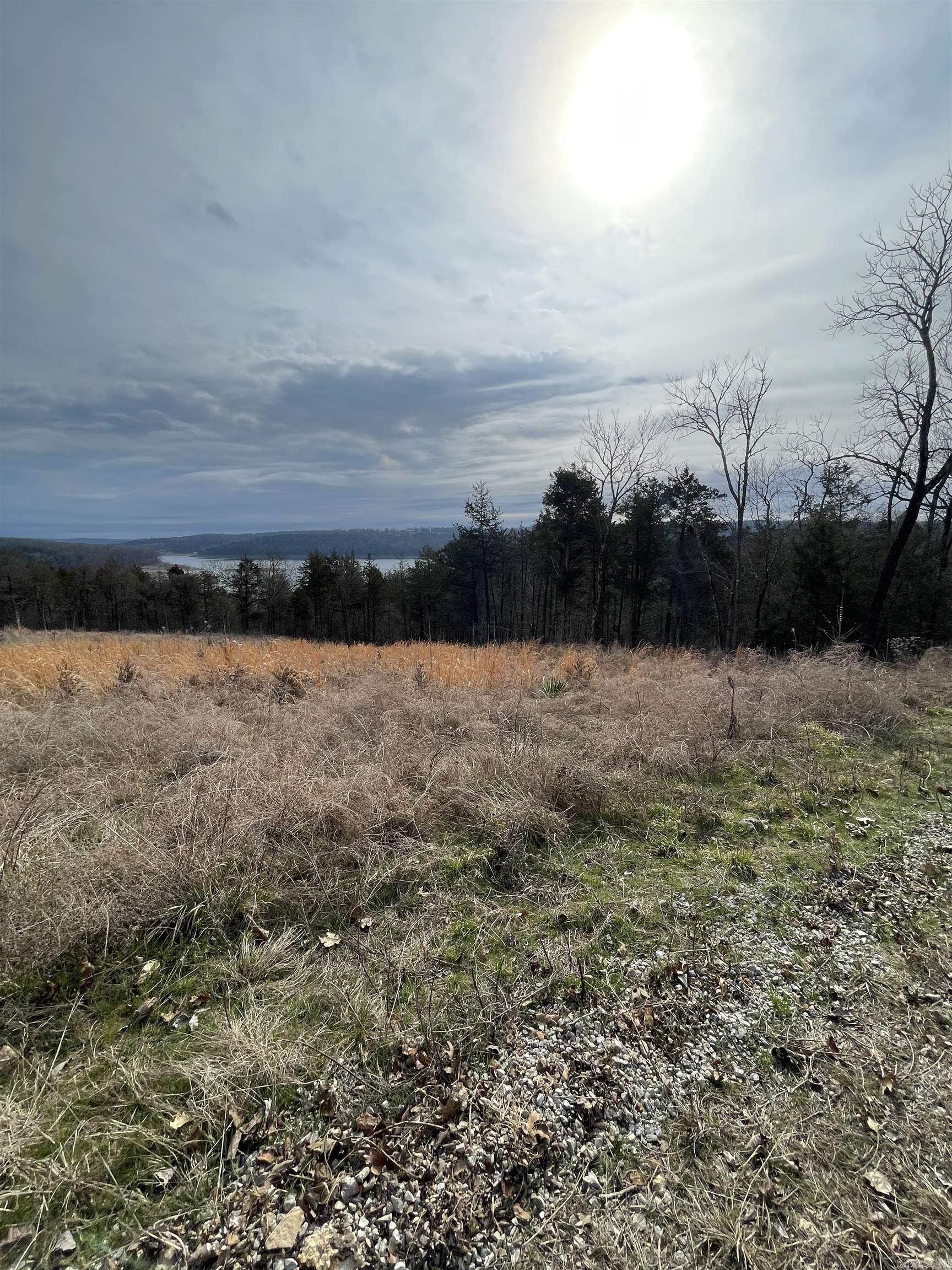 Lot 116  Green Haven  Mountain Home, AR