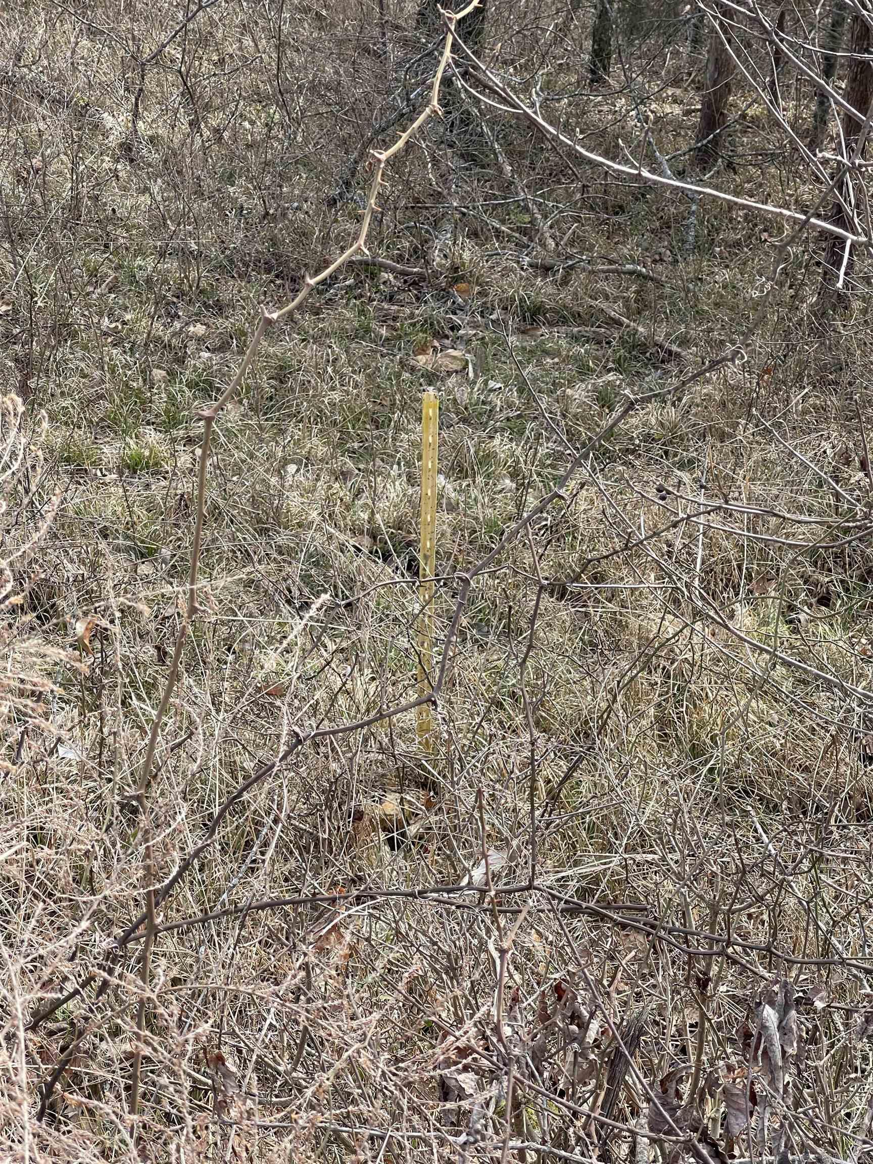 Lot 116  Green Haven  Mountain Home, AR